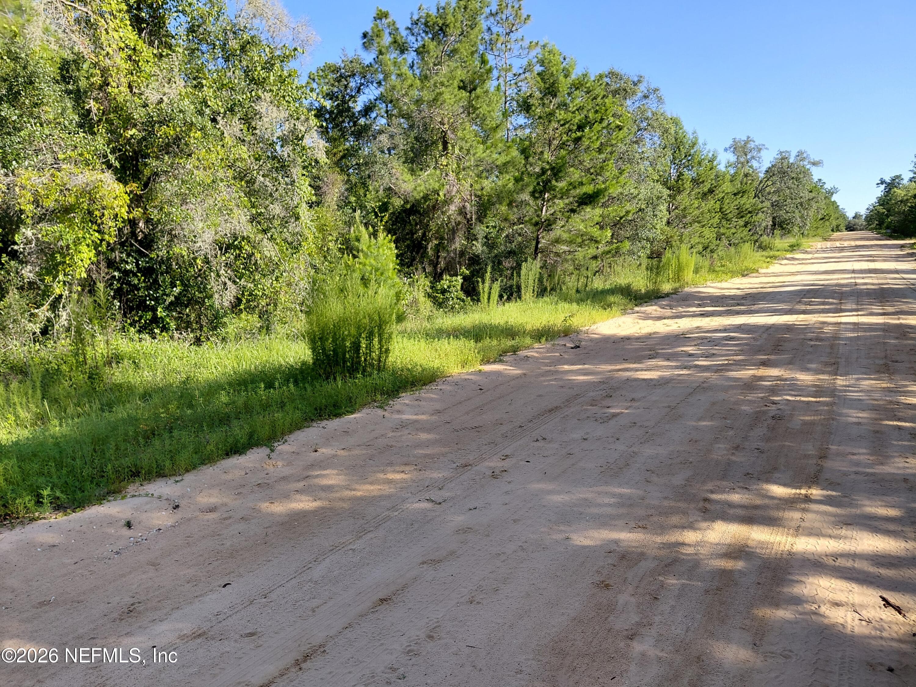 TBD THERESA Avenue, Interlachen, FL 32148, Interlachen — exterior