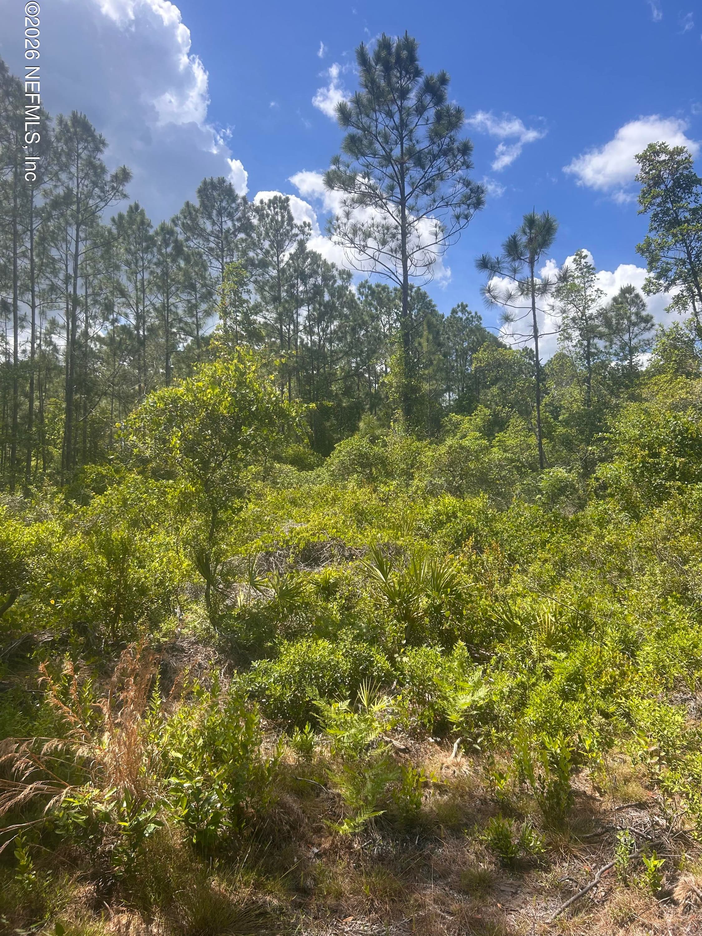 242 LAKEWAY Drive, Georgetown, FL 32139, Georgetown — exterior