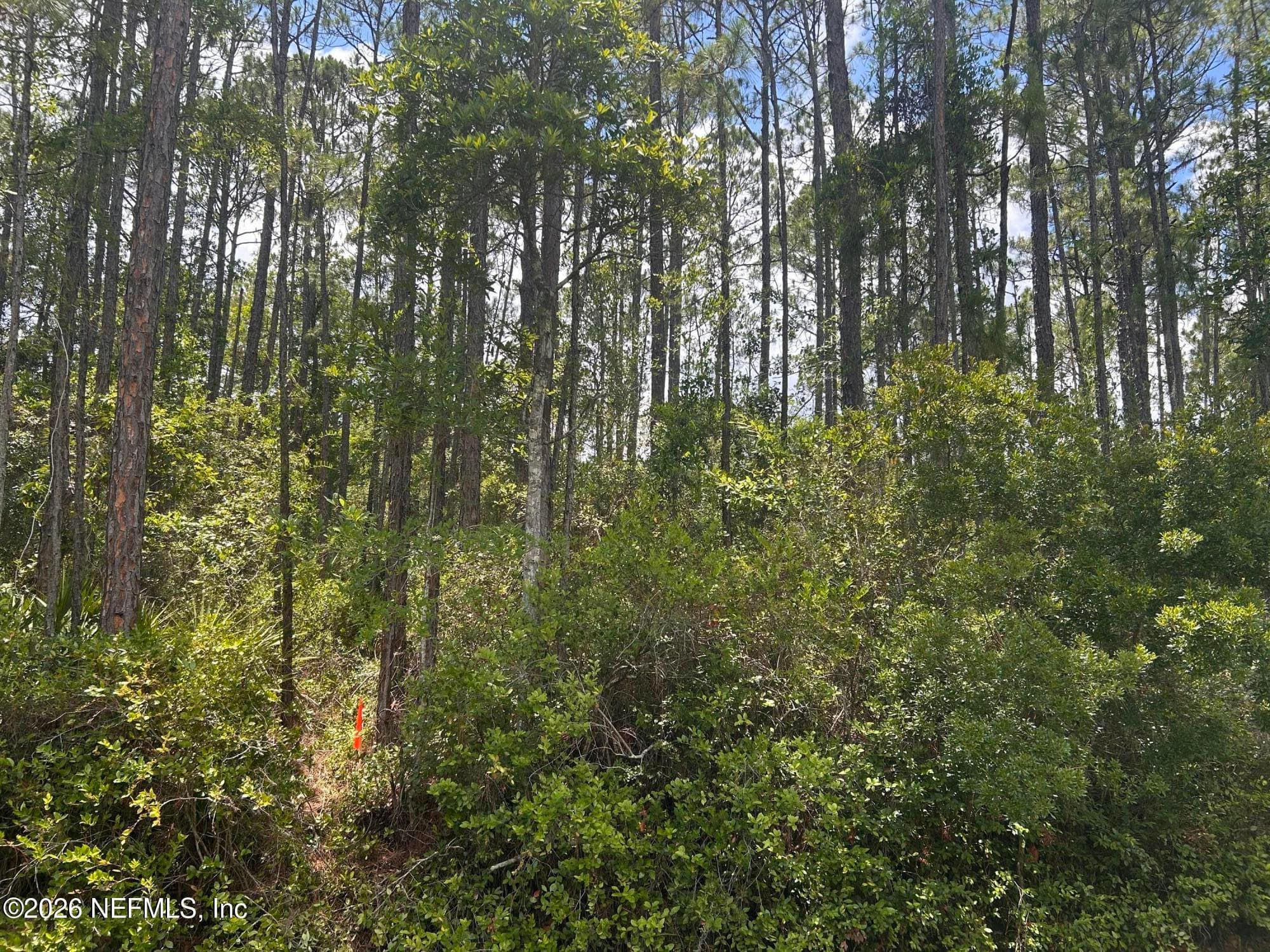 242 LAKEWAY Drive, Georgetown, FL 32139, Georgetown — photo 2