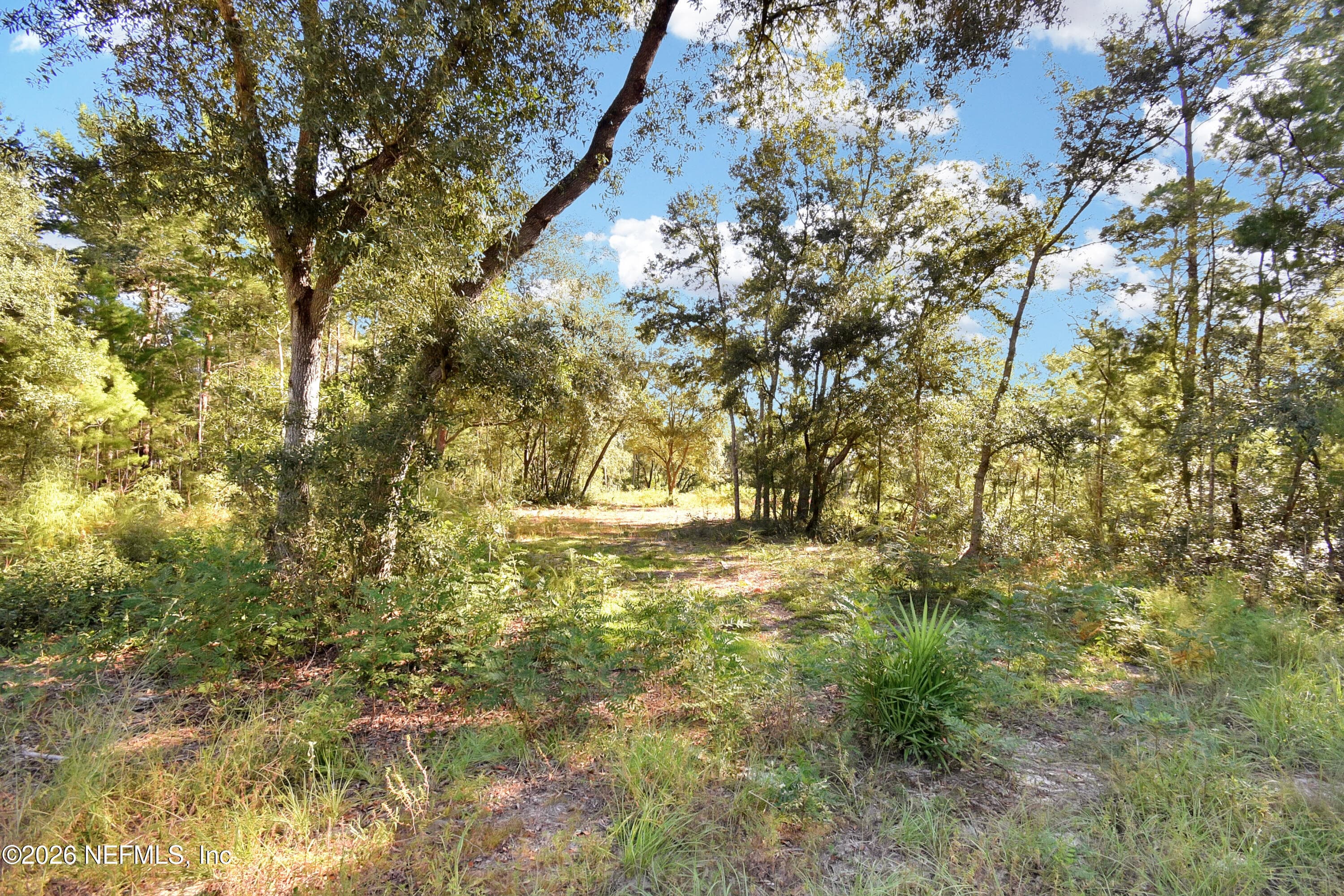 7455 RYE Court, Keystone Heights, FL 32656, Keystone Heights — photo 2