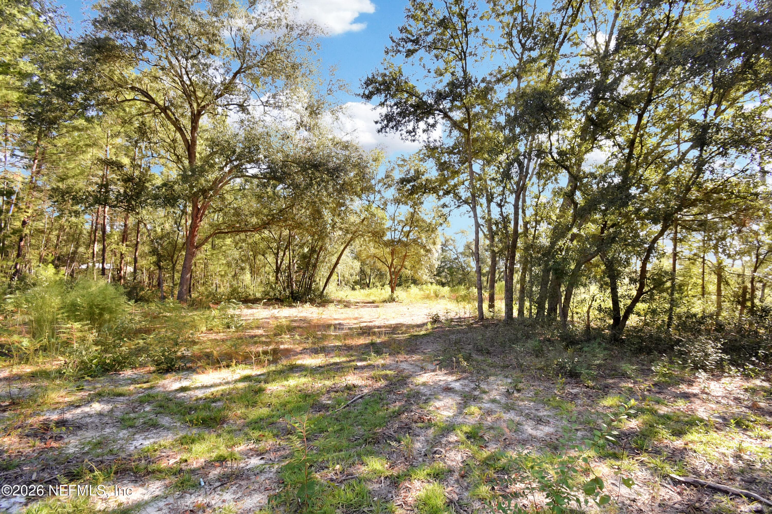 7455 RYE Court, Keystone Heights, FL 32656, Keystone Heights — photo 3