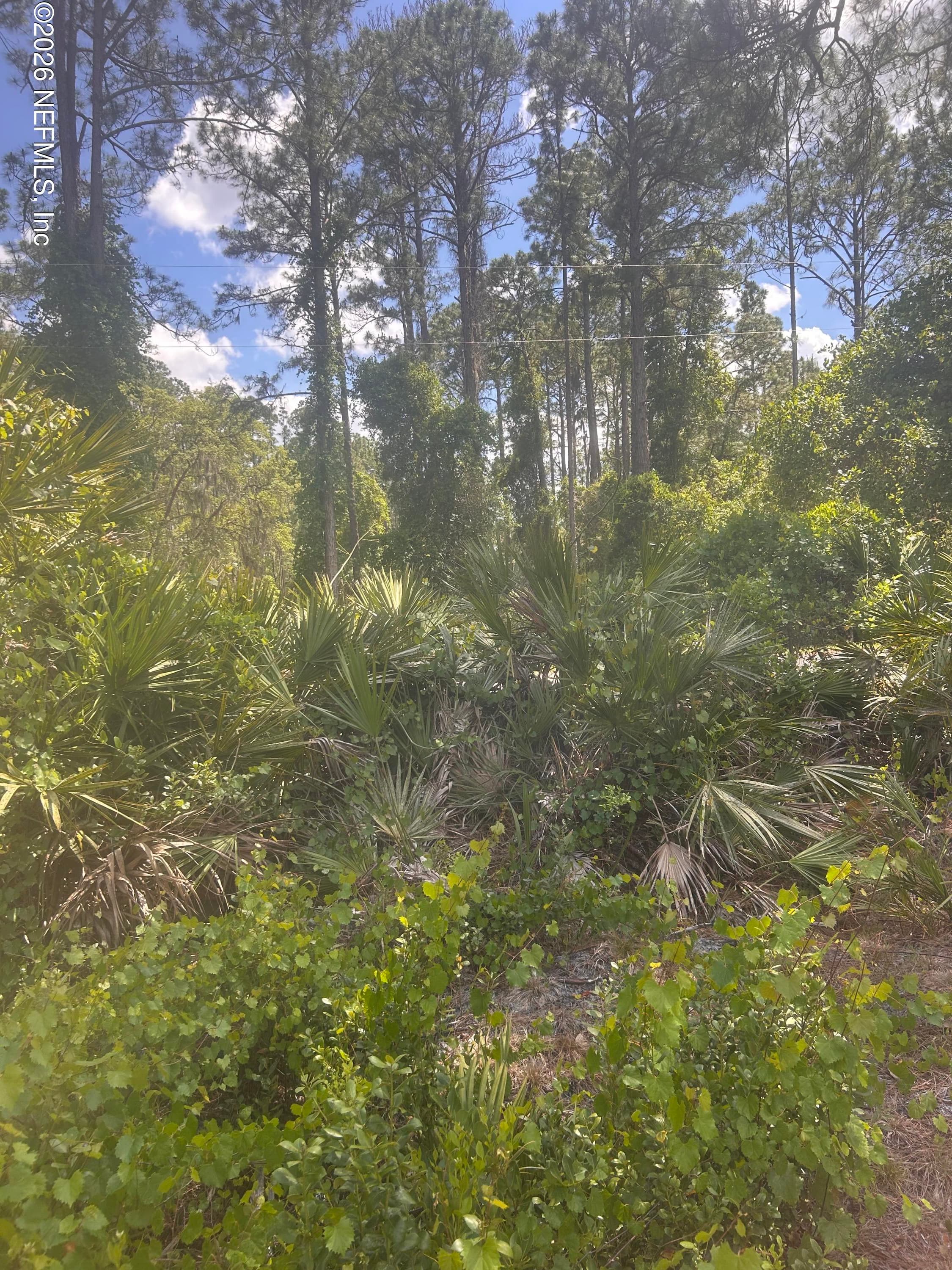 128 FOREST Street, Georgetown, FL 32139, Georgetown — exterior