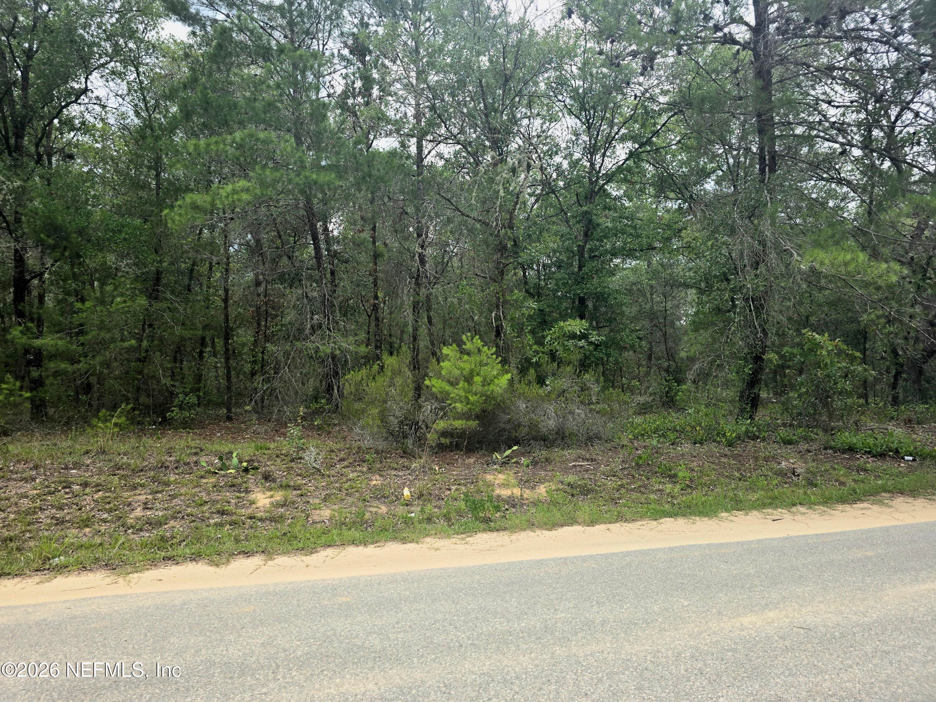 105 PARK Avenue, Interlachen, FL 32148, Interlachen — exterior