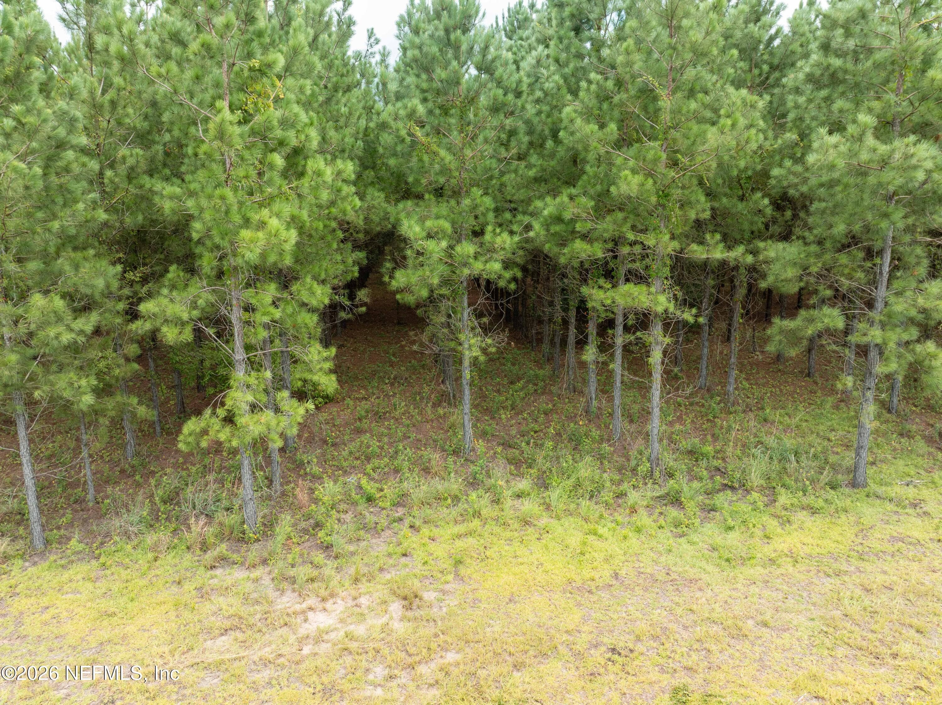 3600 NE ROCKY FORD Road, Madison, FL 32340, Madison — photo 2