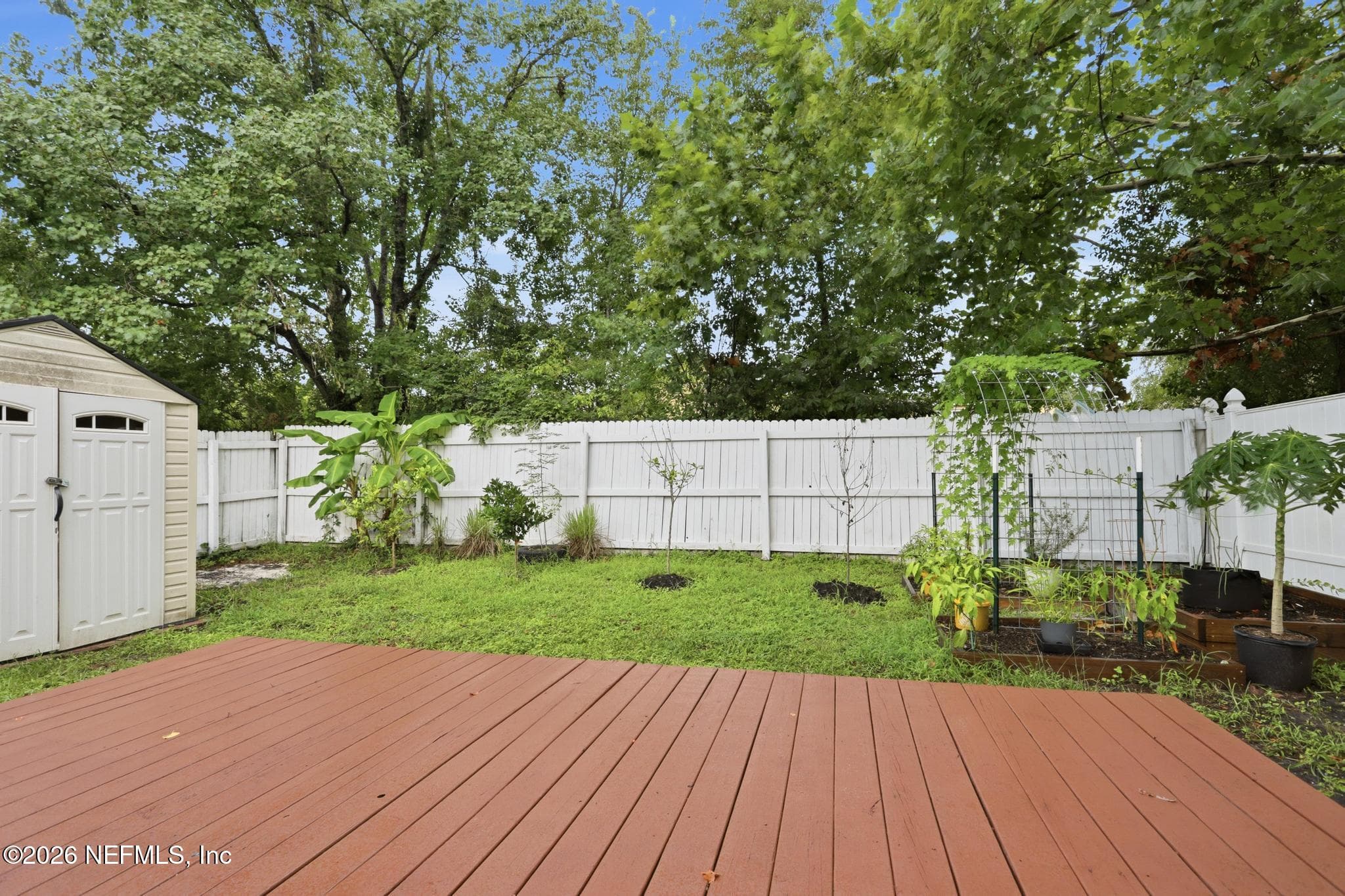 3374 TALISMAN Drive, Middleburg — photo 3
