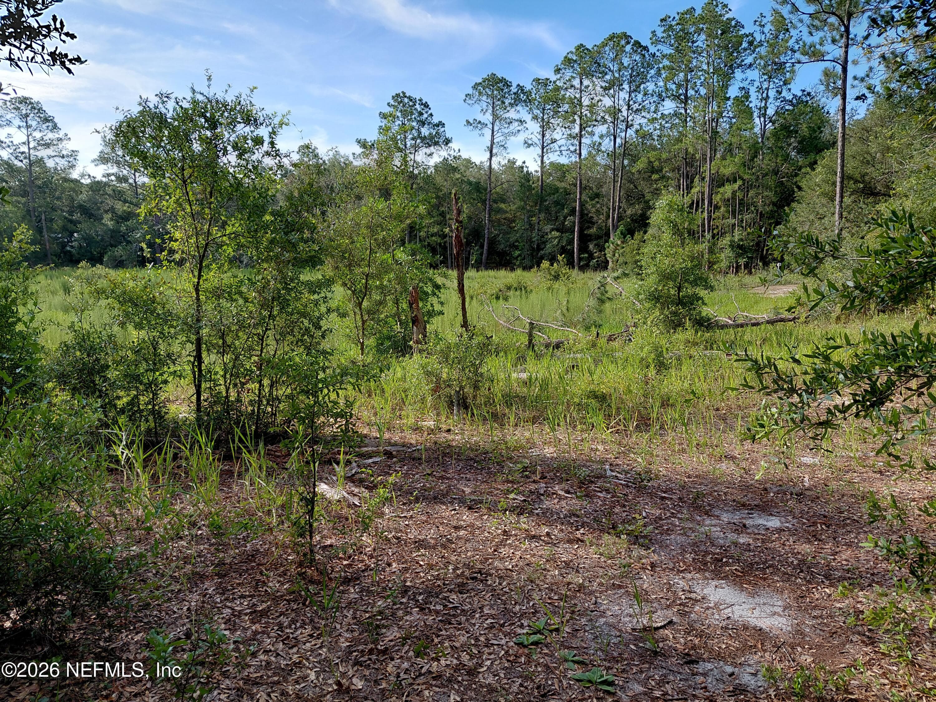 157 OAK Circle, Interlachen, FL 32148, Interlachen — photo 2