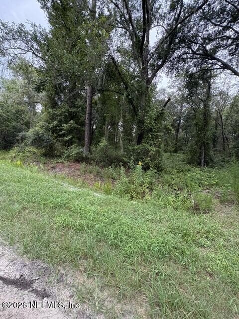 10335 HENNESSEY Avenue, Hastings, FL 32145, Hastings — photo 3