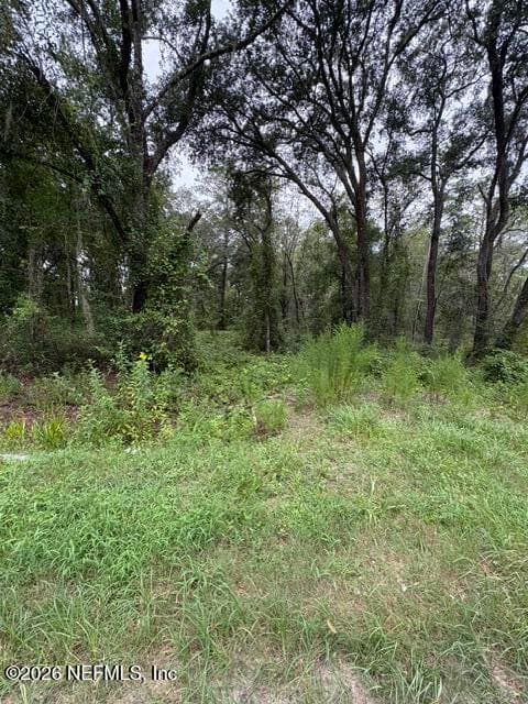 10335 HENNESSEY Avenue, Hastings, FL 32145, Hastings — photo 2