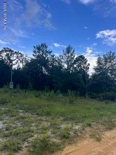 325 MALTAS Avenue, Interlachen, FL 32148, Interlachen — exterior