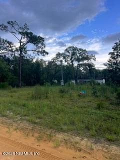 325 MALTAS Avenue, Interlachen, FL 32148, Interlachen — photo 2