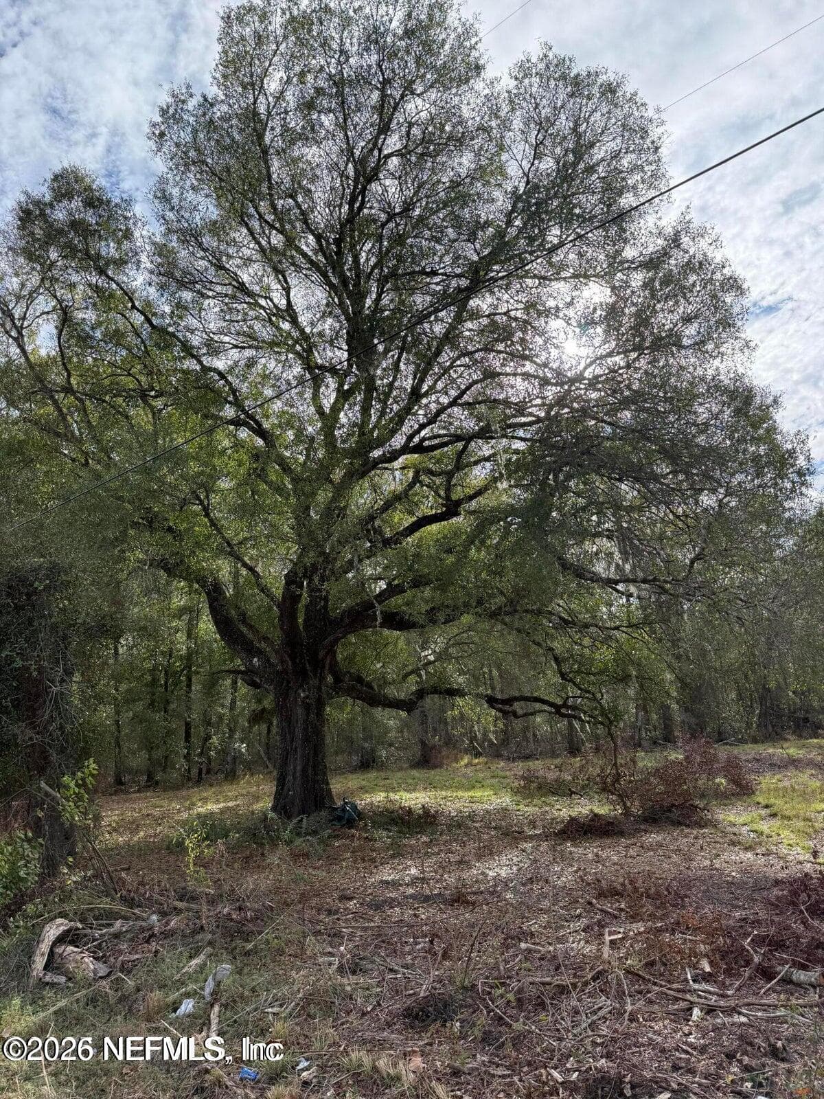 TBD NW SR 16, Starke — exterior