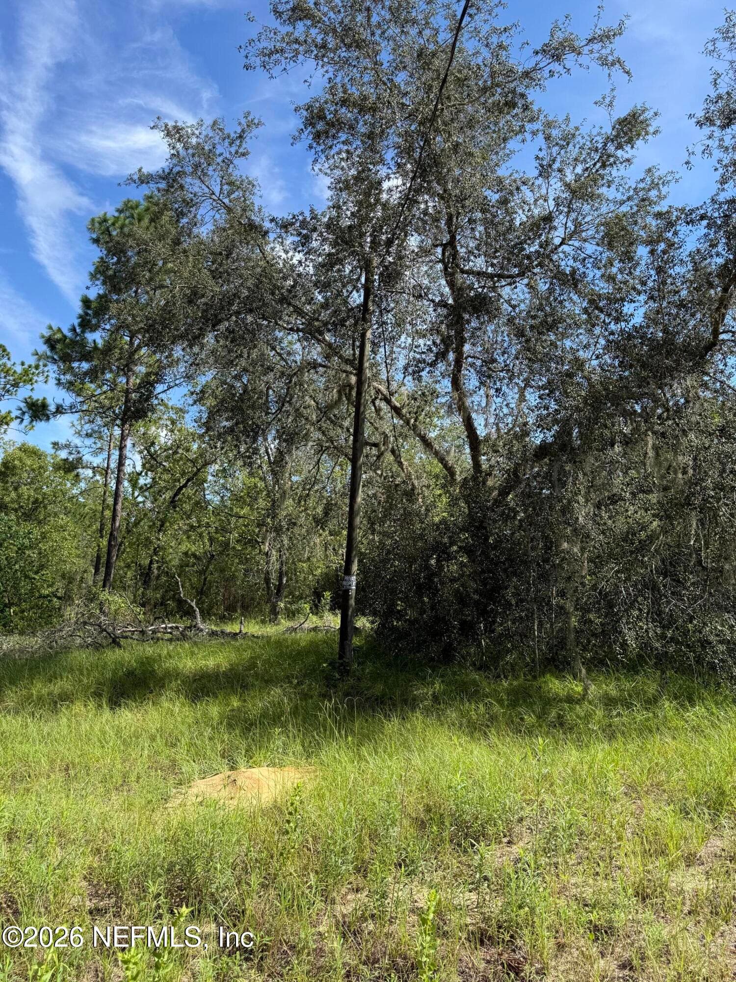 116 LIMA Street, Interlachen, FL 32148, Interlachen — photo 3