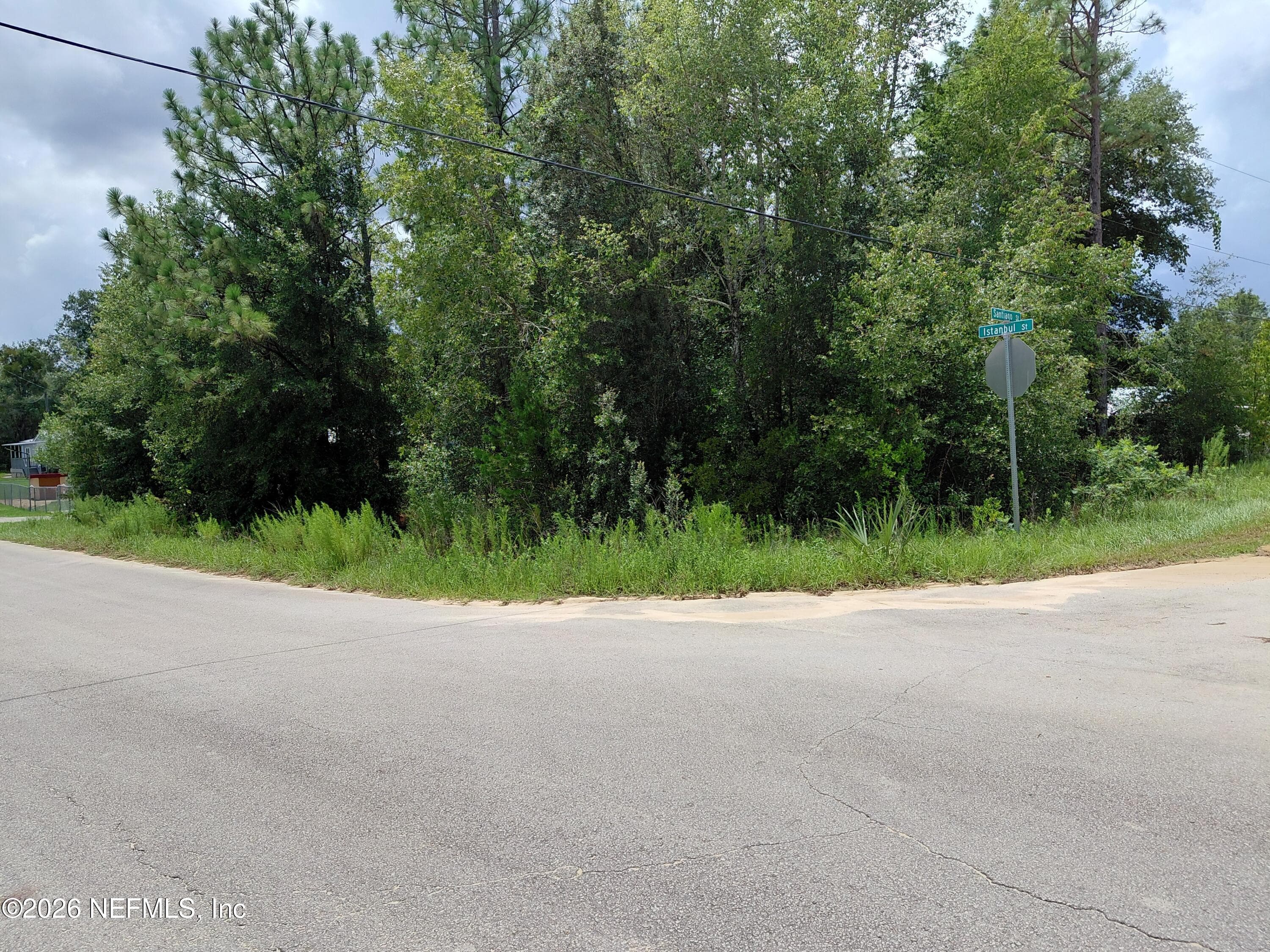 TBD ISTANBUL Street, Interlachen, FL 32148, Interlachen — photo 2