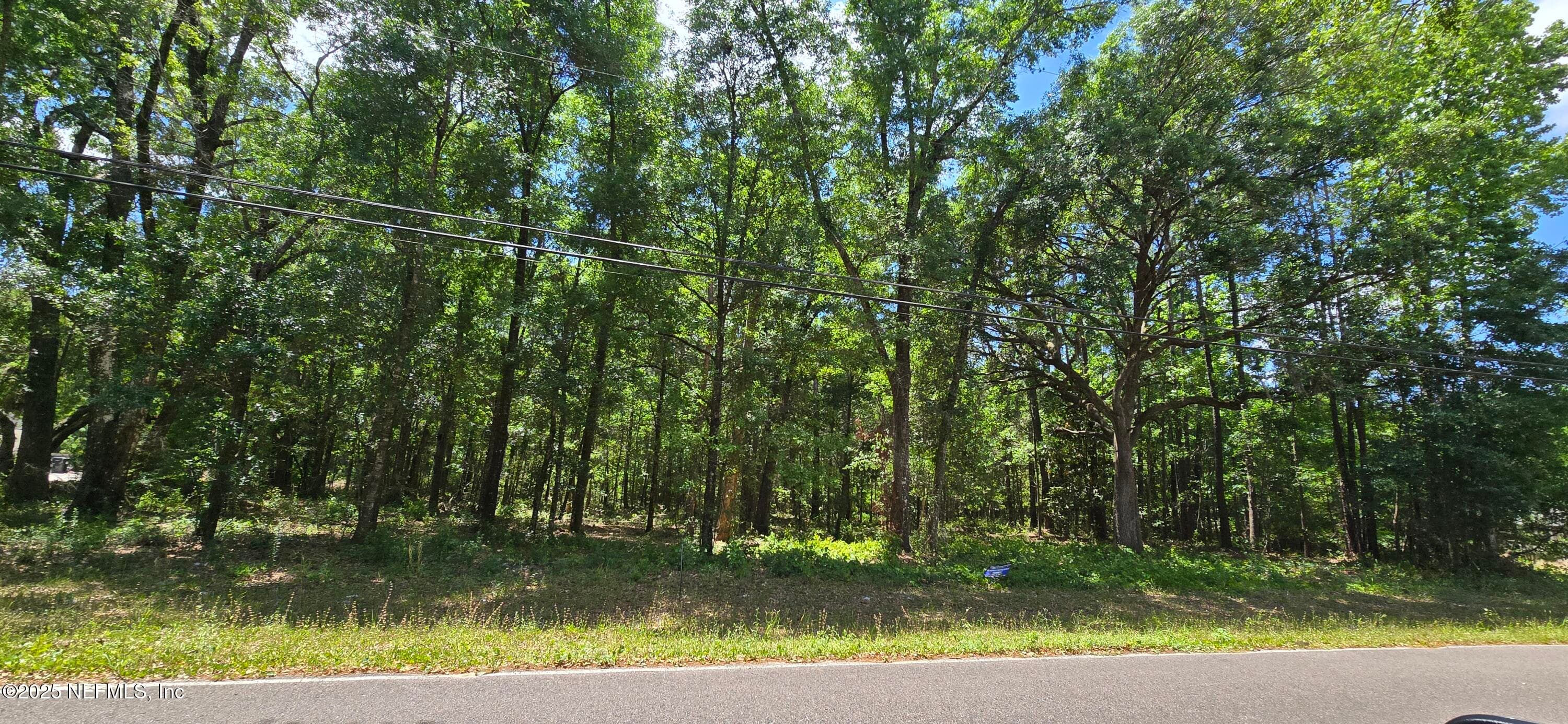 0 BRANSCOMB Road, Green Cove Springs, FL 32043, Green Cove Springs — photo 2