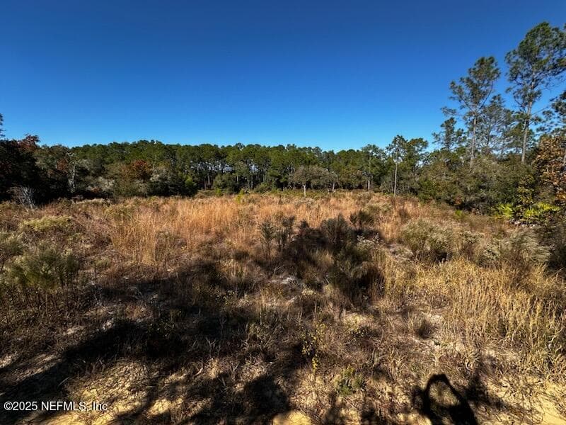 220 COMO Circle, Interlachen, FL 32148, Interlachen — exterior