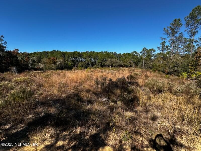 220 COMO Circle, Interlachen, FL 32148, Interlachen — photo 2
