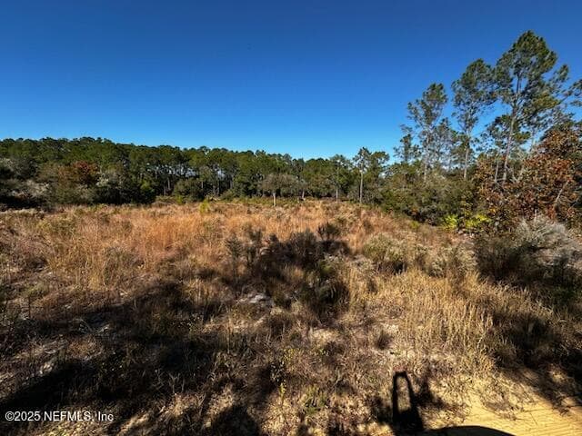 220 COMO Circle, Interlachen, FL 32148, Interlachen — photo 3