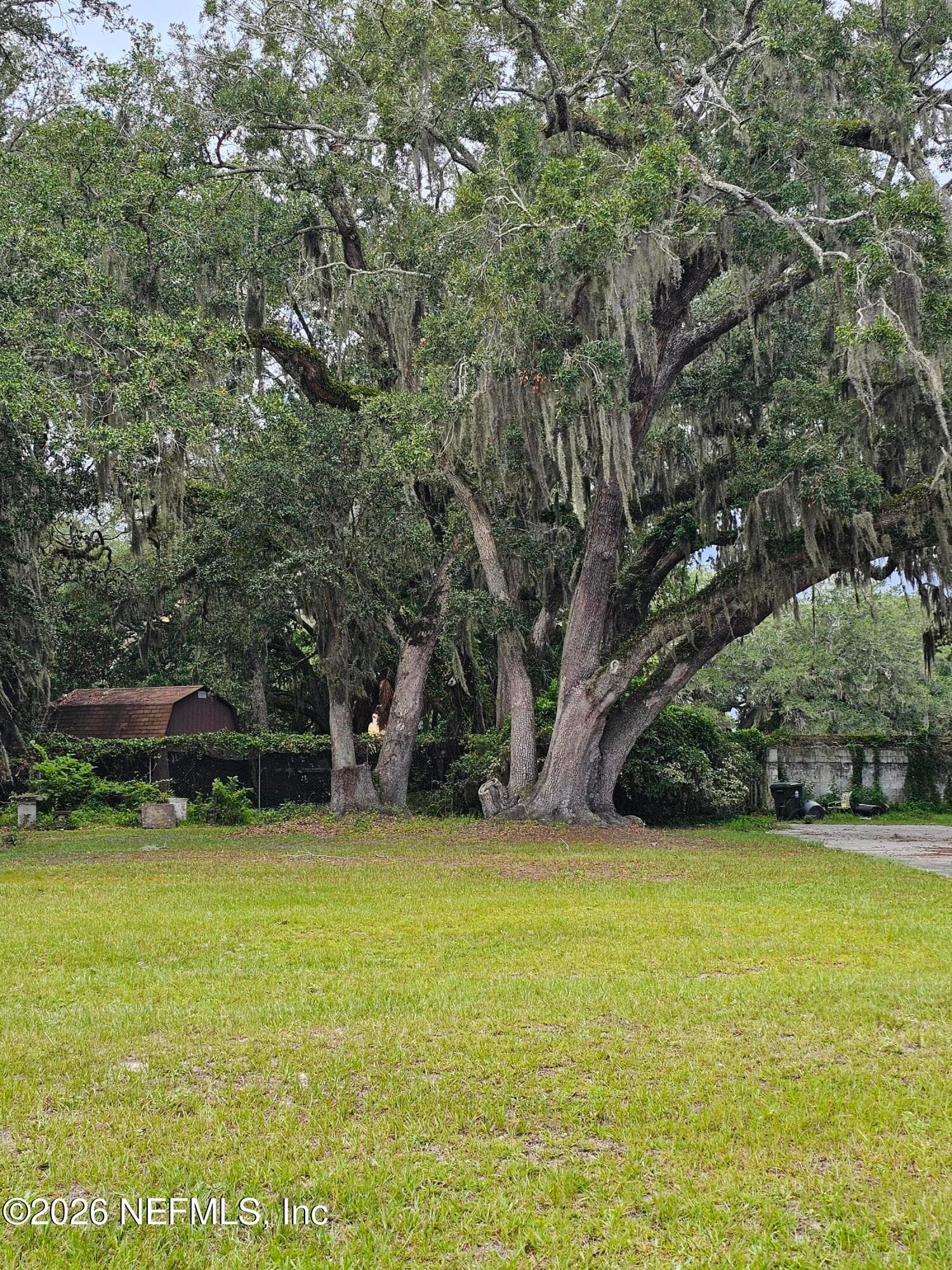 514 RIVER Road, Orange Park, FL 32073, Orange Park — photo 3