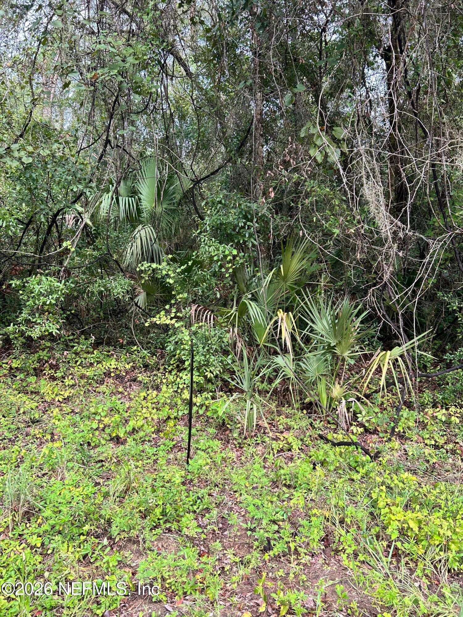 0 ANNETTE Avenue, Interlachen, FL 32148, Interlachen — exterior