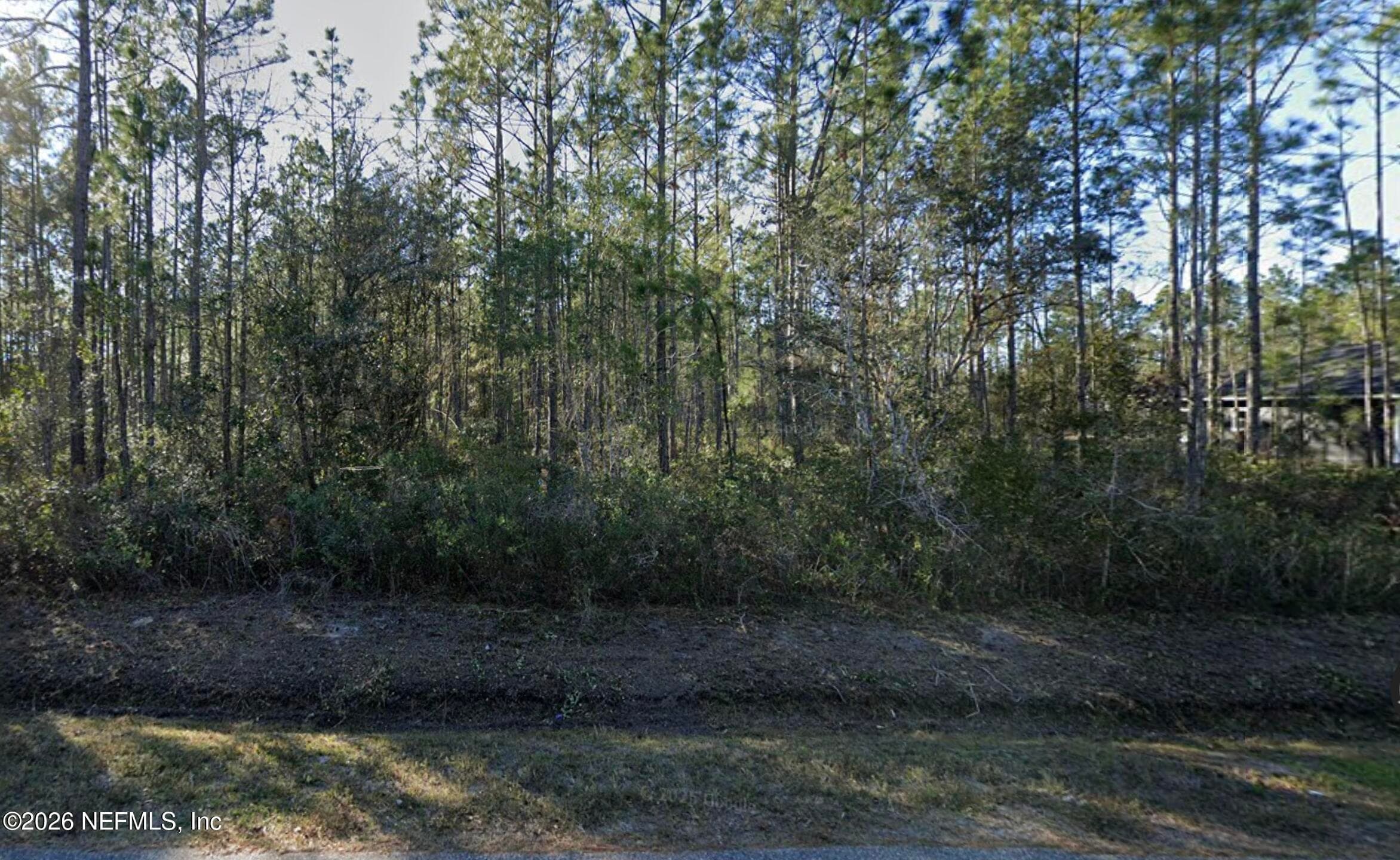 10255 ERICKSON Avenue, Hastings, FL 32145, Hastings — exterior