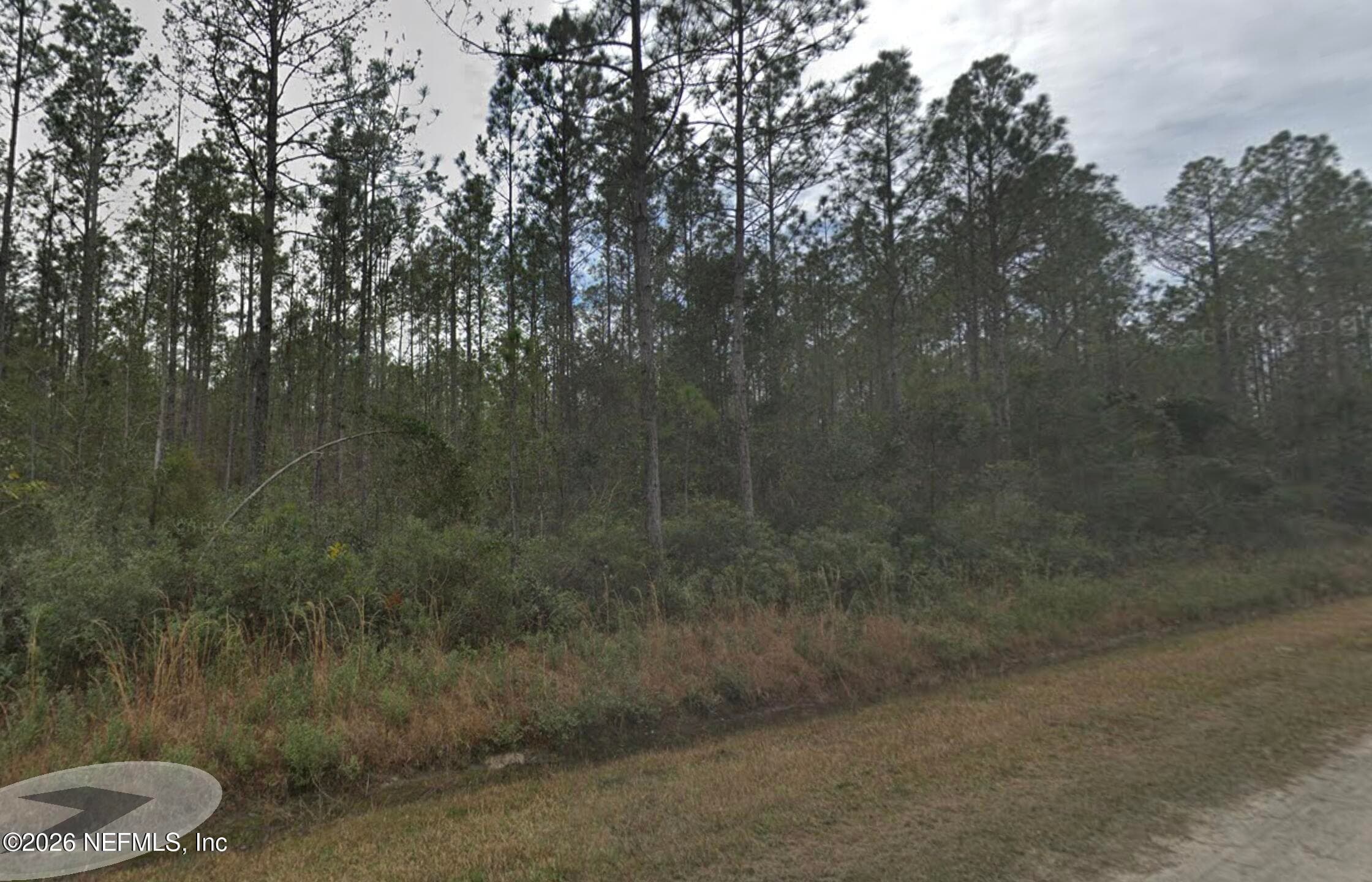 4305 CALVIN Street, Hastings, FL 32145, Hastings — exterior