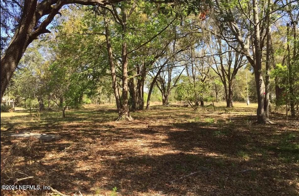 4025 CEDAR POINT Road, Jacksonville — photo 3