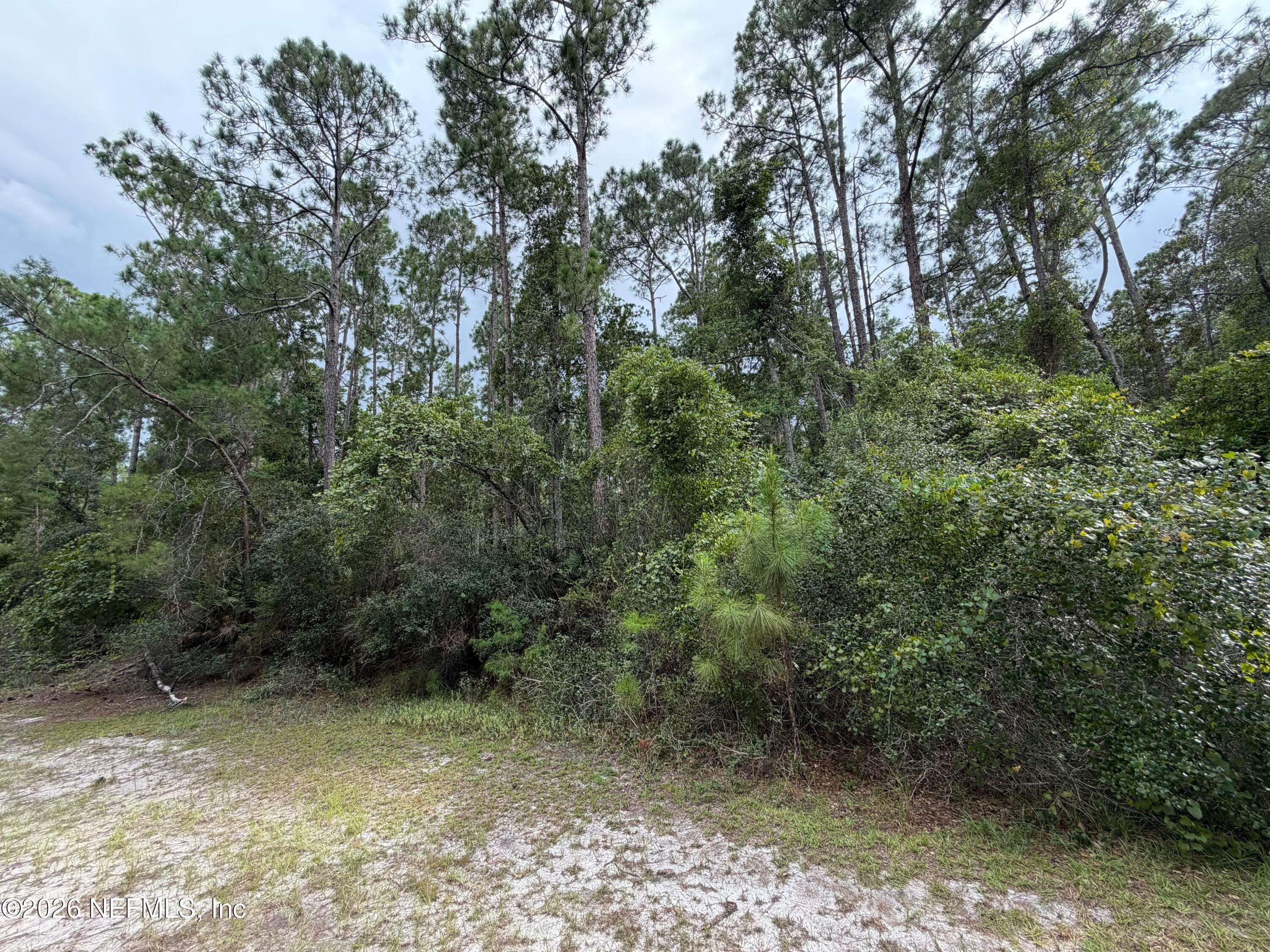 207 TEQUESTA Trail, Georgetown, FL 32139, Georgetown — exterior