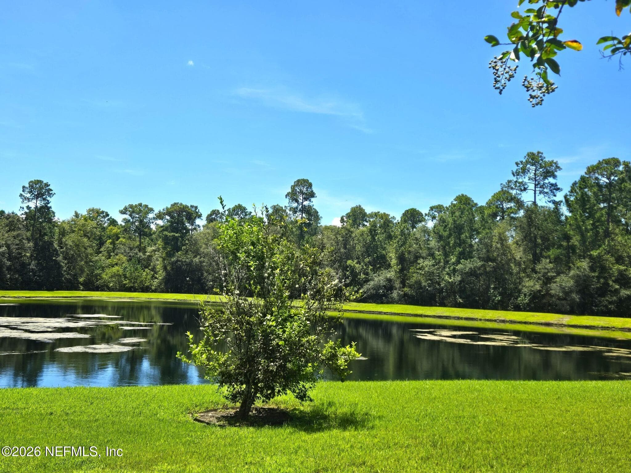 357 HUFFNER HILL Circle, St. Augustine — photo 2