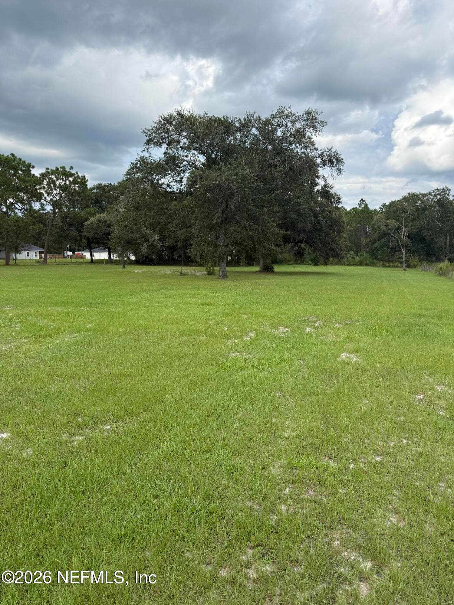 5156 MALLARD Road, Middleburg, FL 32068, Middleburg — photo 3