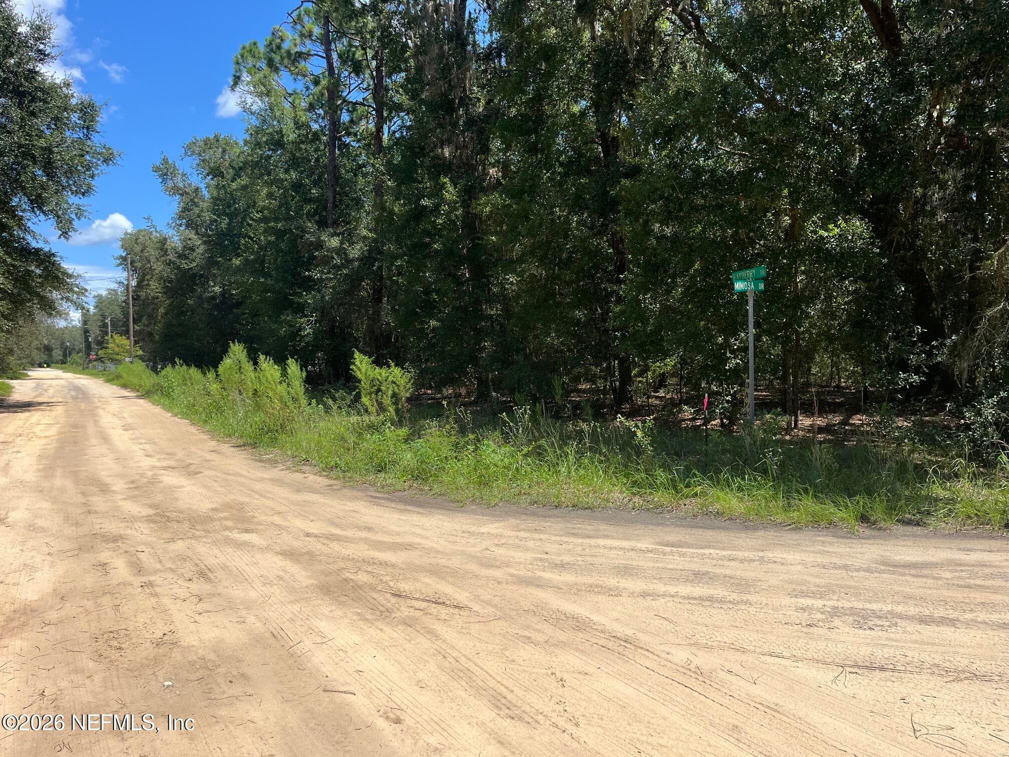 106 BAYBERRY Drive, Hawthorne, FL 32640, Hawthorne — photo 3