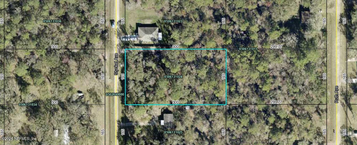 10300 STYCKET Avenue, Hastings, FL 32145, Hastings — photo 3