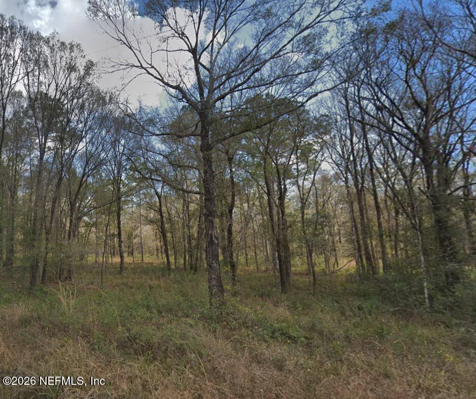 10300 STYCKET Avenue, Hastings, FL 32145, Hastings — photo 2