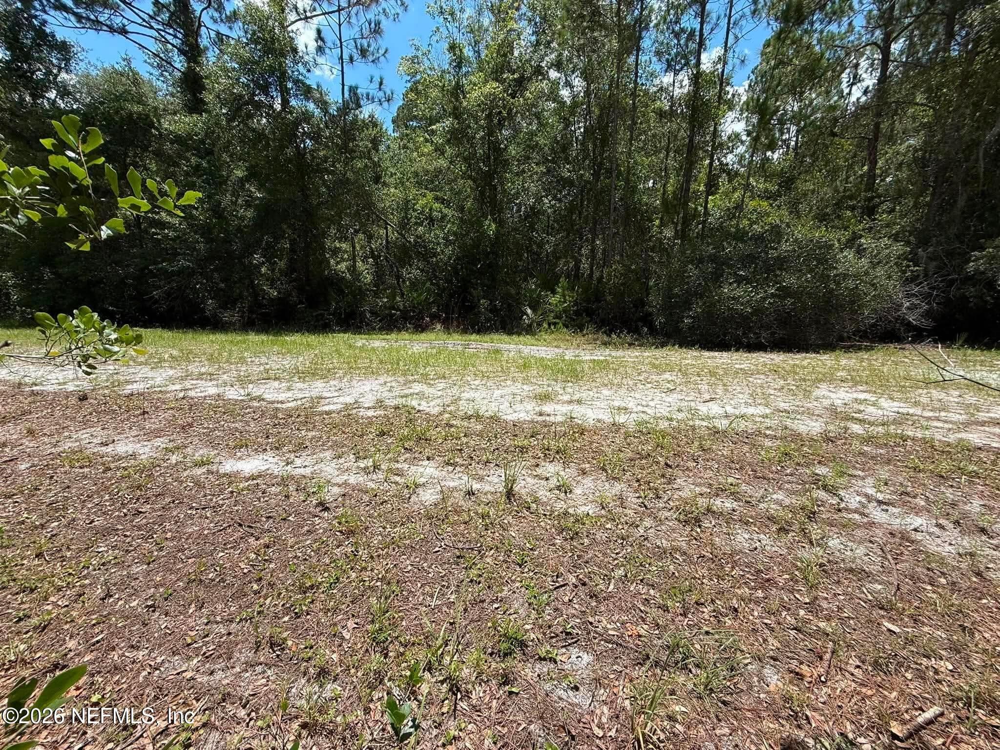 102 WILLOW Lane, Georgetown, FL 32139, Georgetown — exterior