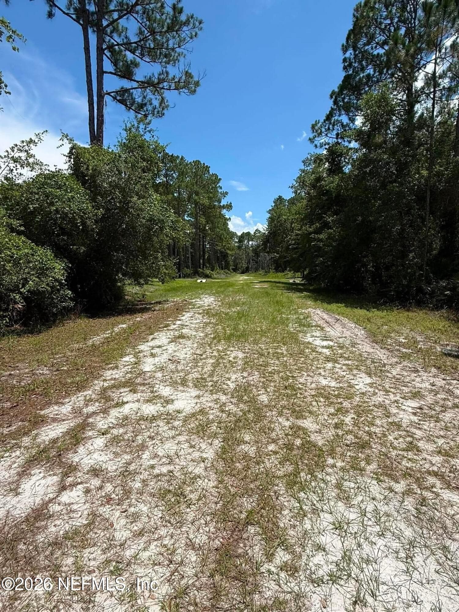 102 WILLOW Lane, Georgetown, FL 32139, Georgetown — photo 2