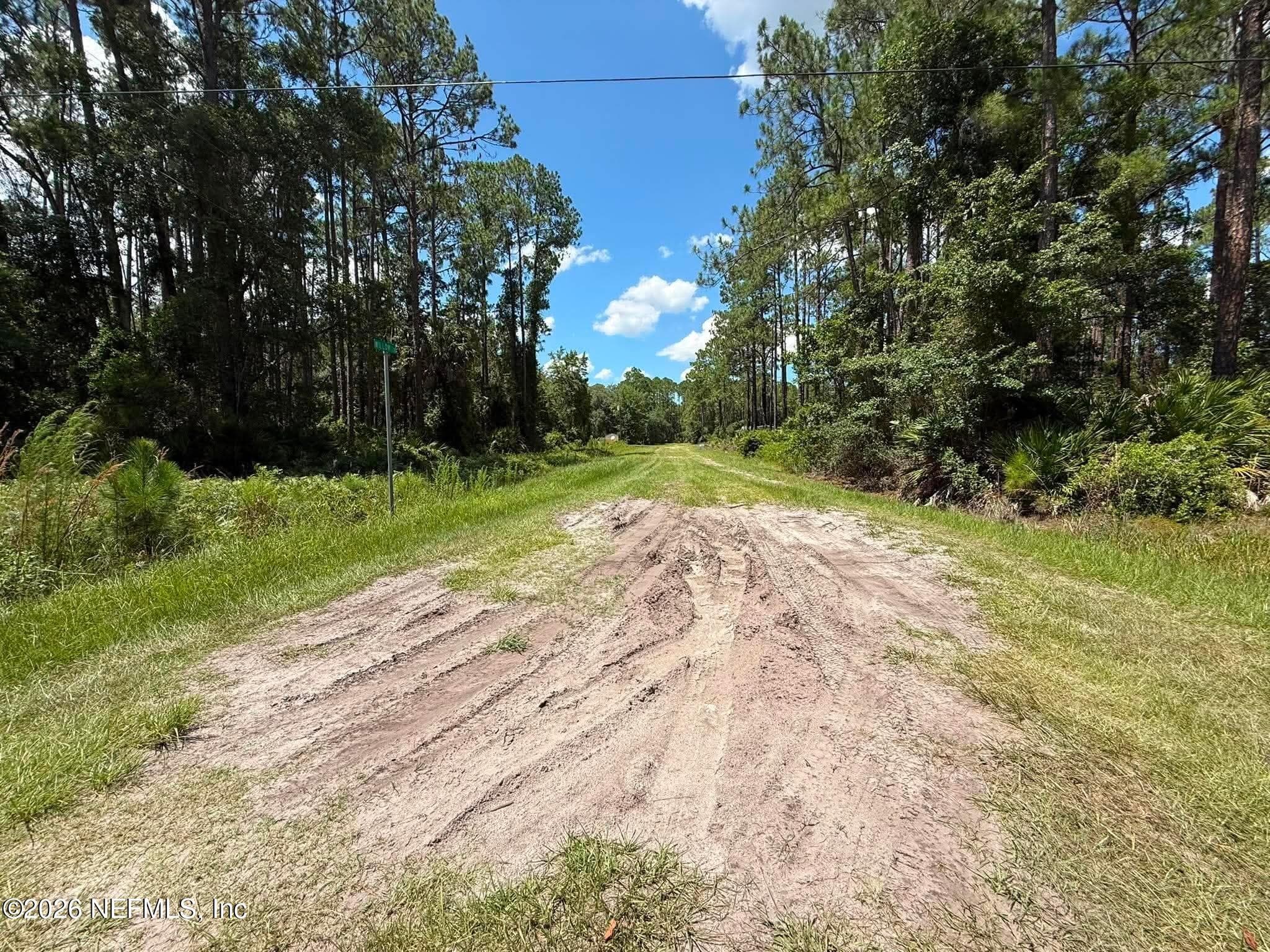 102 WILLOW Lane, Georgetown, FL 32139, Georgetown — photo 3