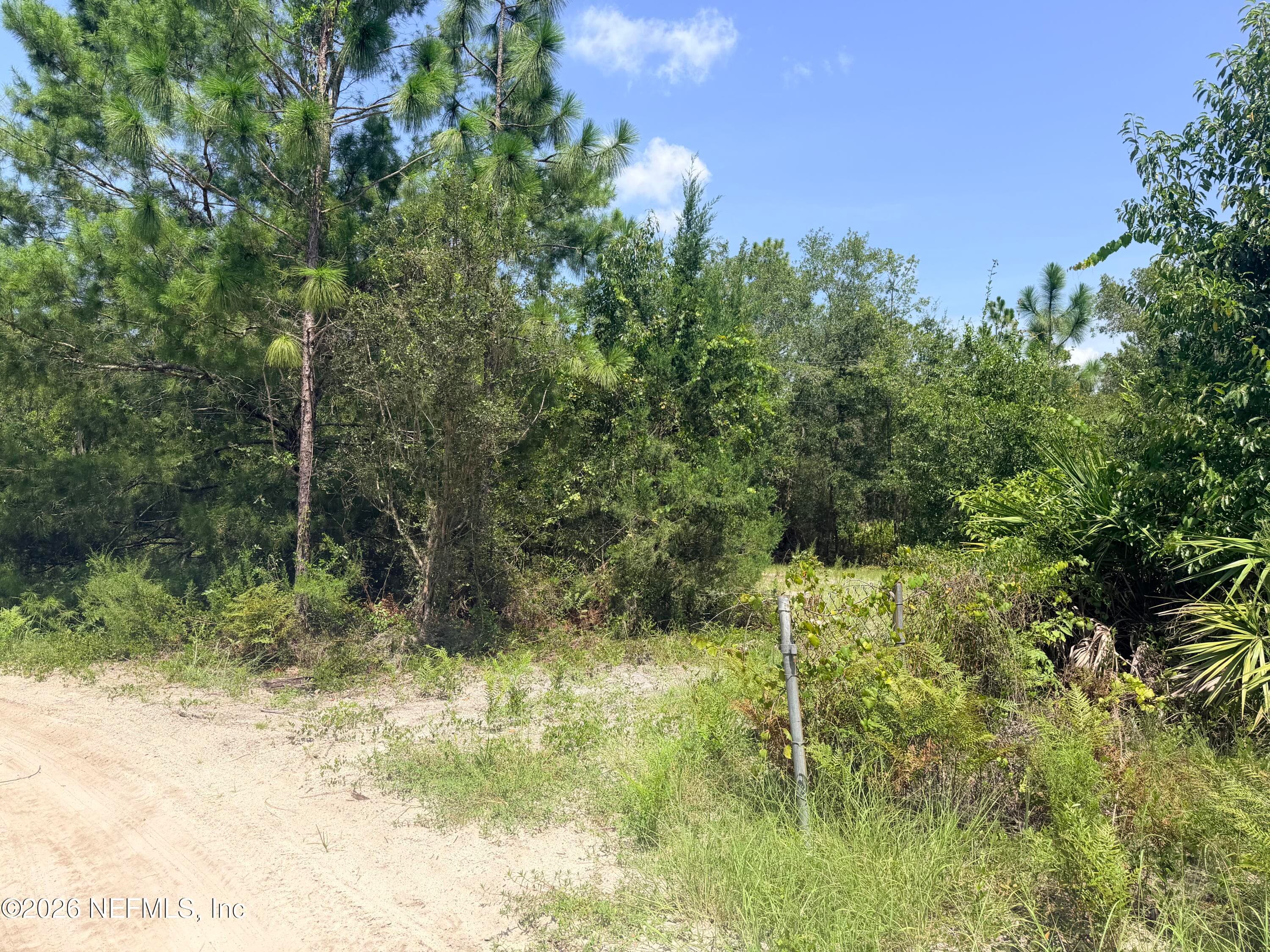 954 MCLAUGHLIN Lane, Middleburg, FL 32068, Middleburg — photo 3