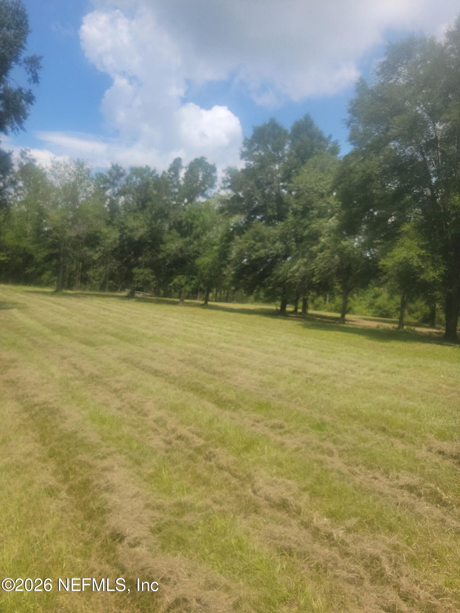0 200 Street, Lake City, FL 32084, Lake City — photo 3