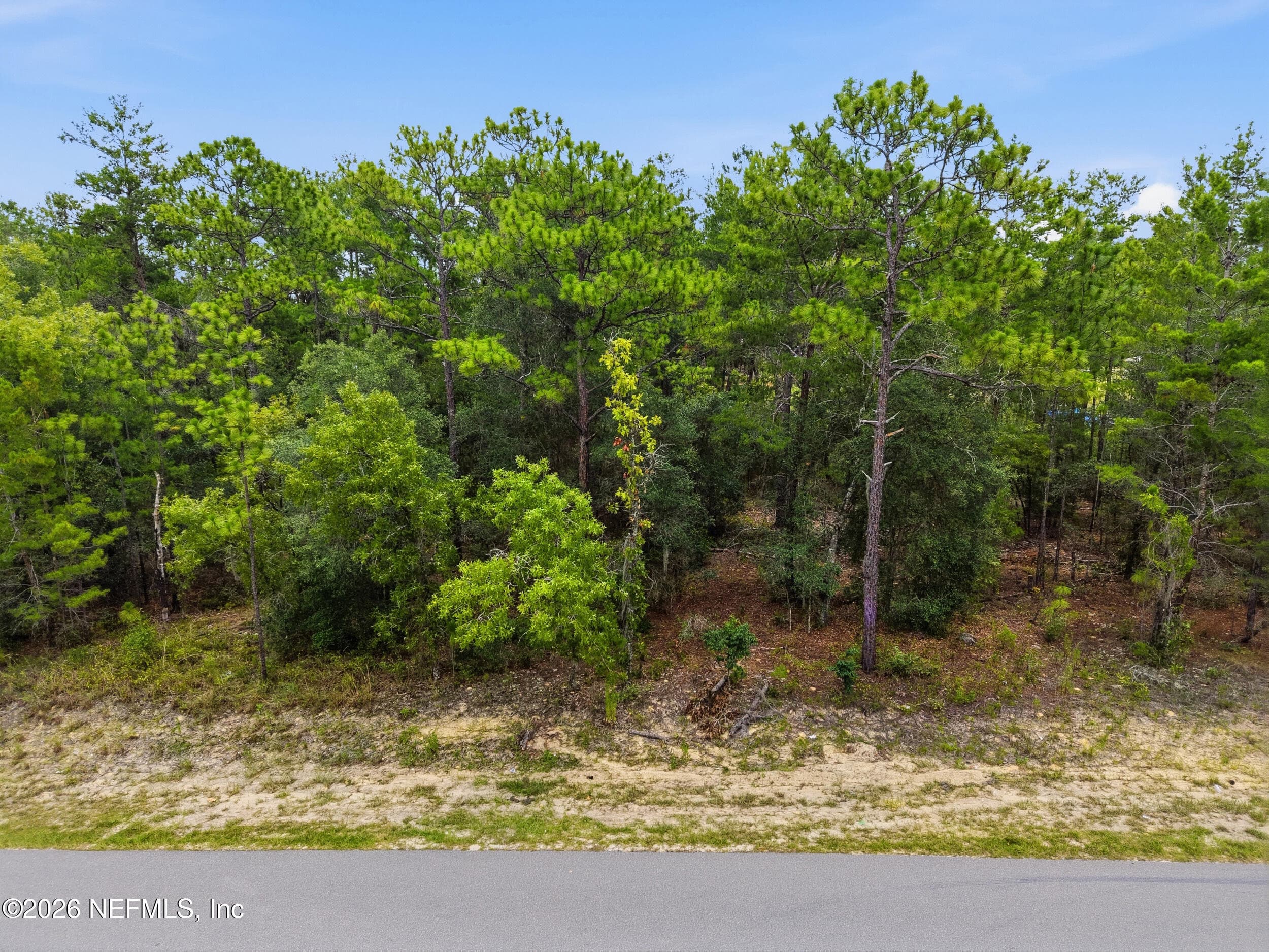 7071 CLEMSON Street, Keystone Heights, FL 32656, Keystone Heights — photo 2