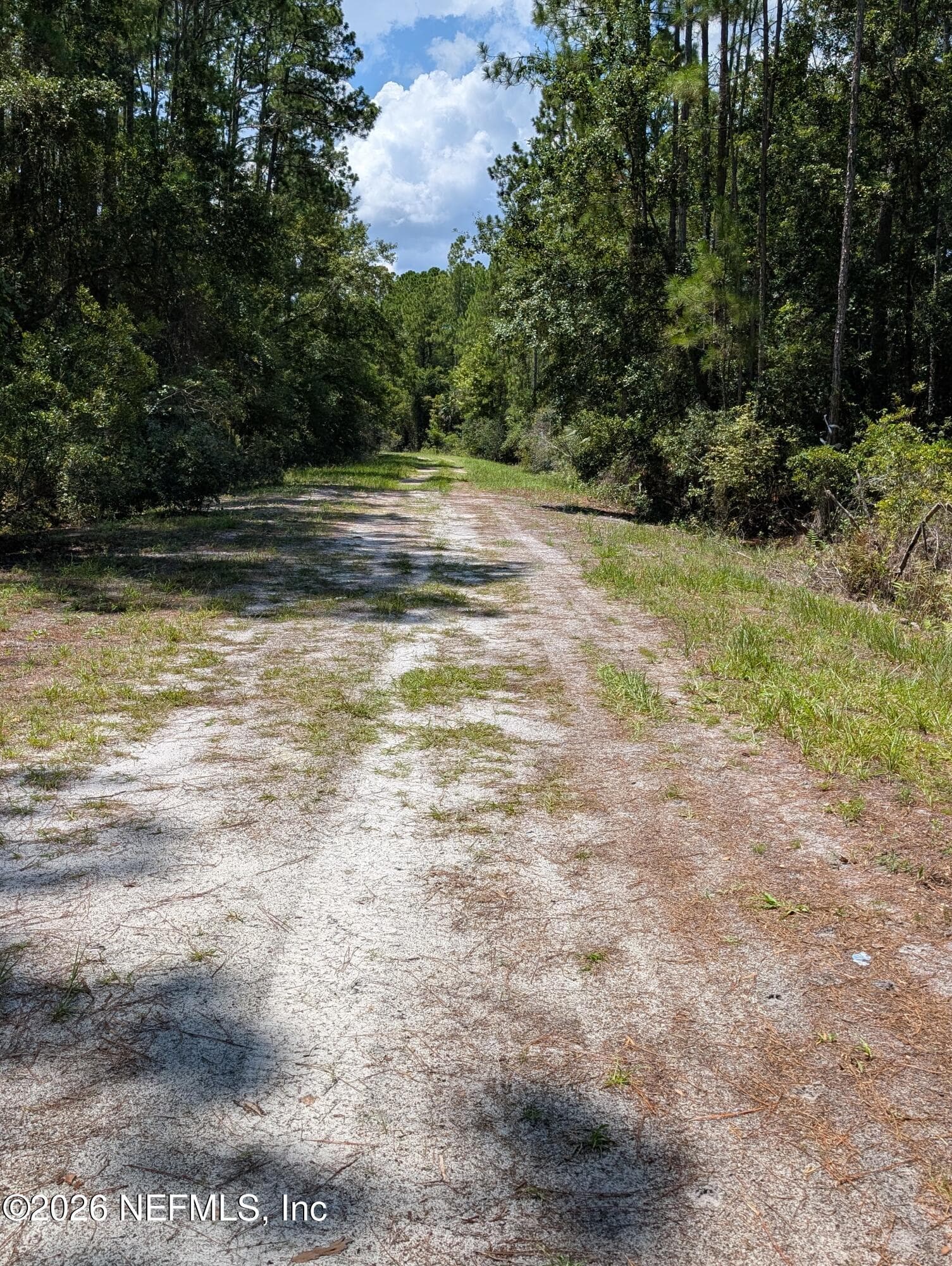 121 SE 1st Street, Georgetown, FL 32139, Georgetown — photo 3