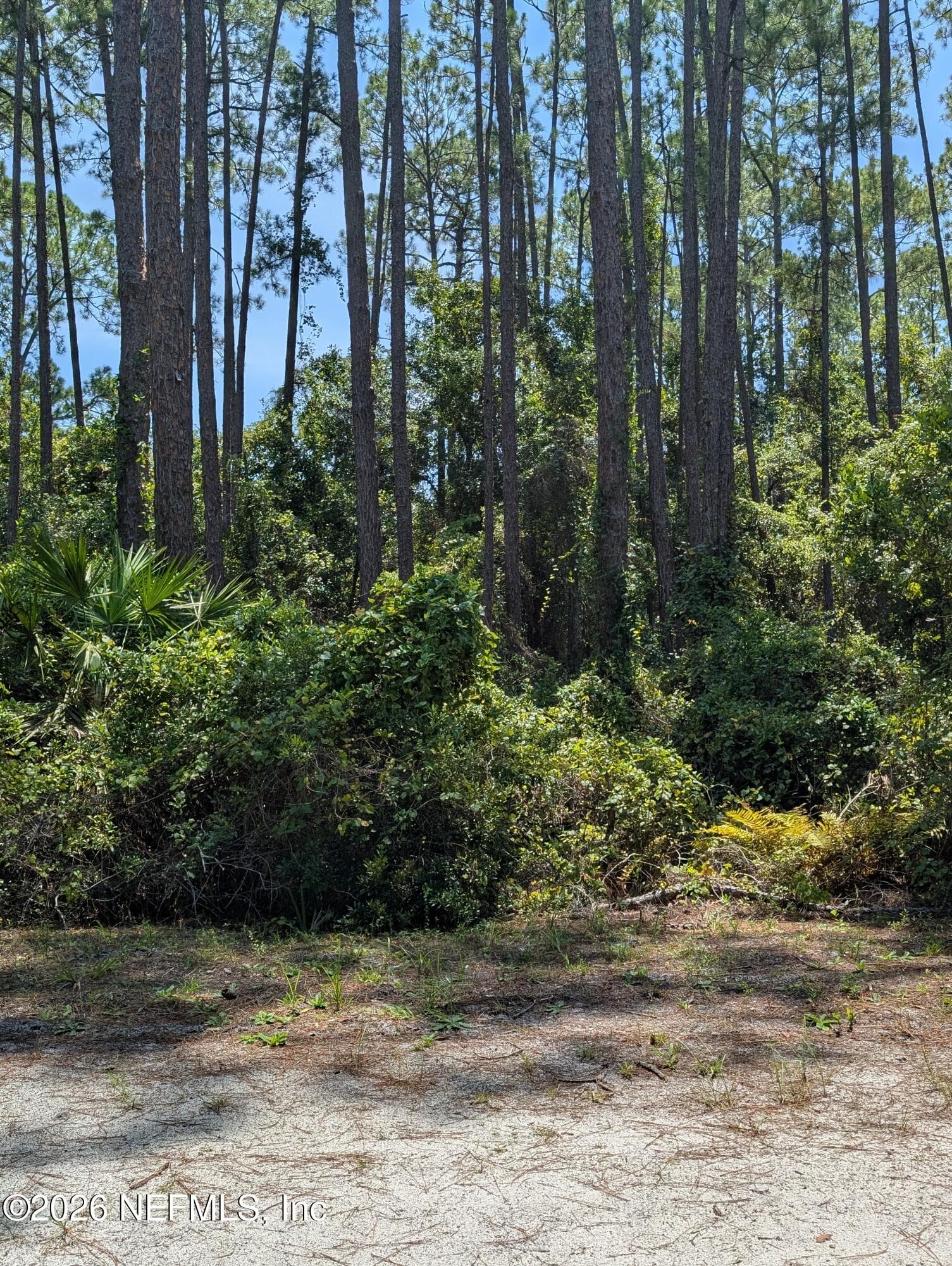 121 SE 1st Street, Georgetown, FL 32139, Georgetown — exterior