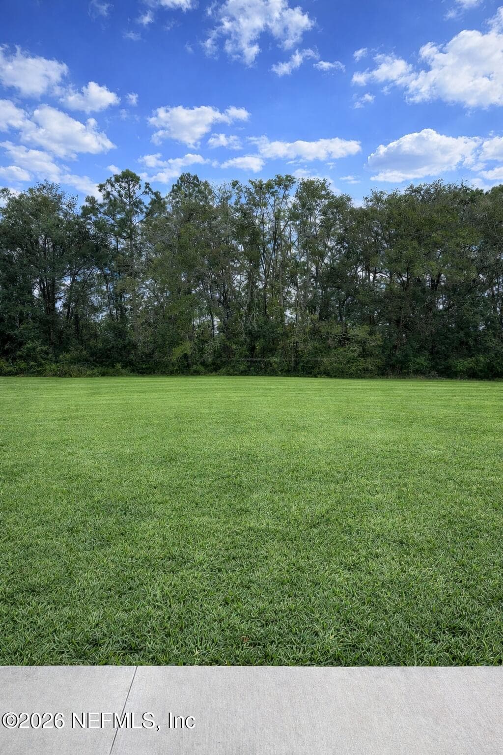 50 BIRD Road, Jacksonville — photo 3