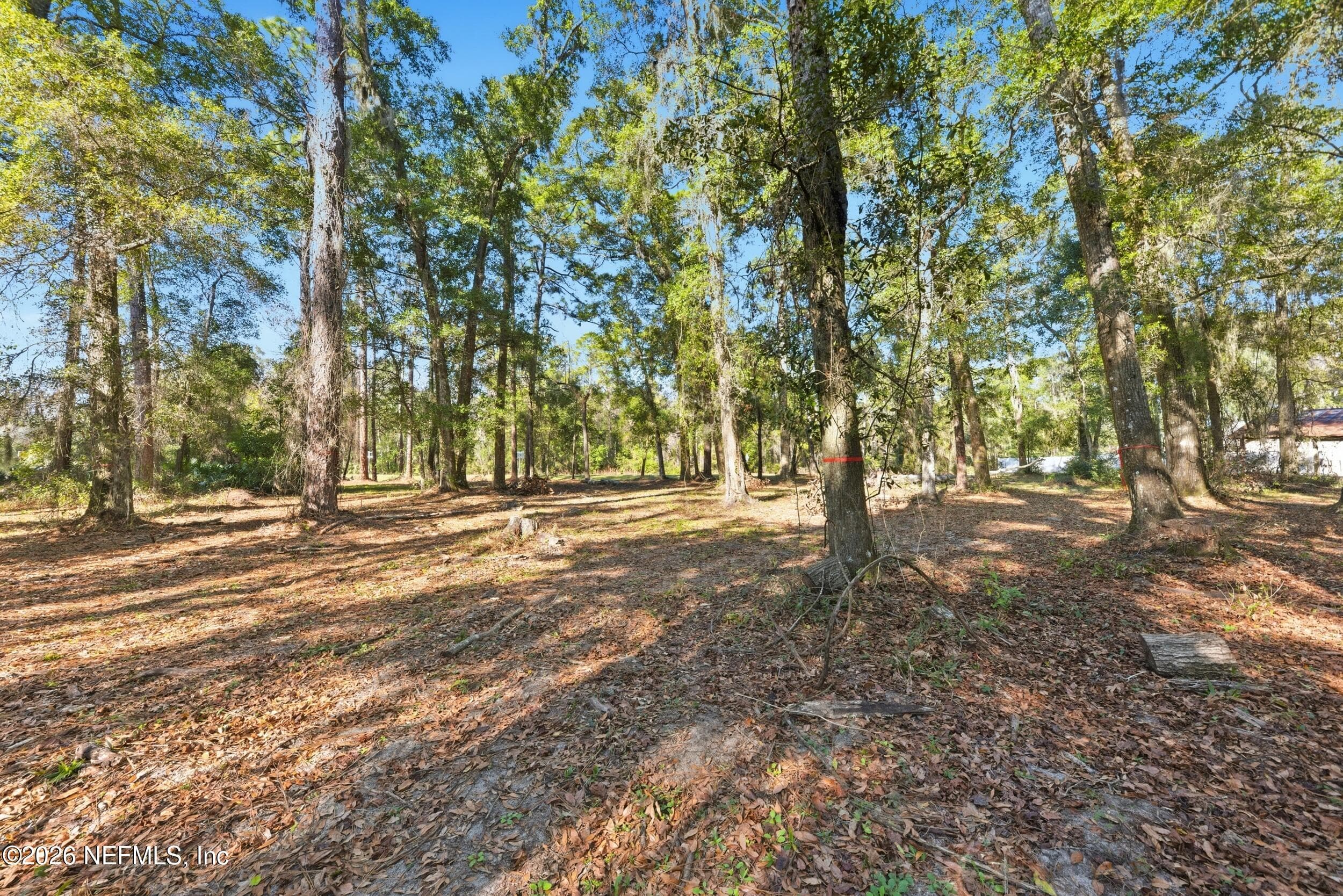 0 PAGES DAIRY Road, Yulee, FL 32097, Yulee — photo 2