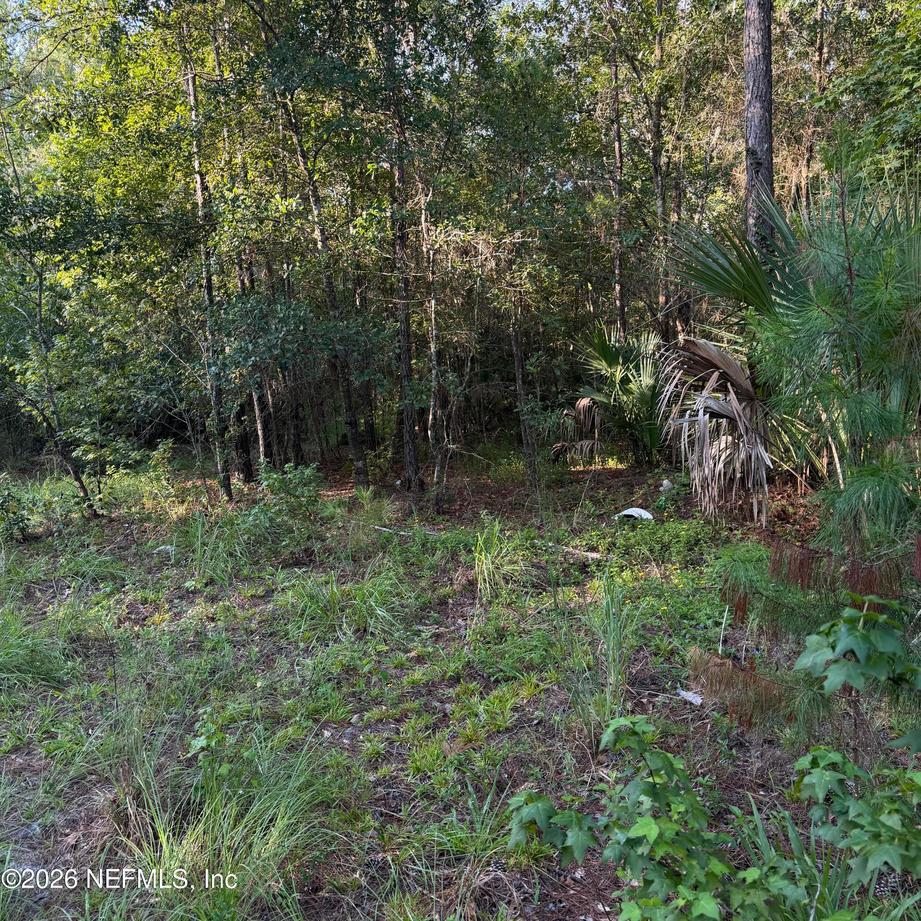 20517 SE 12TH Avenue, Hawthorne, FL 32640, Hawthorne — photo 2