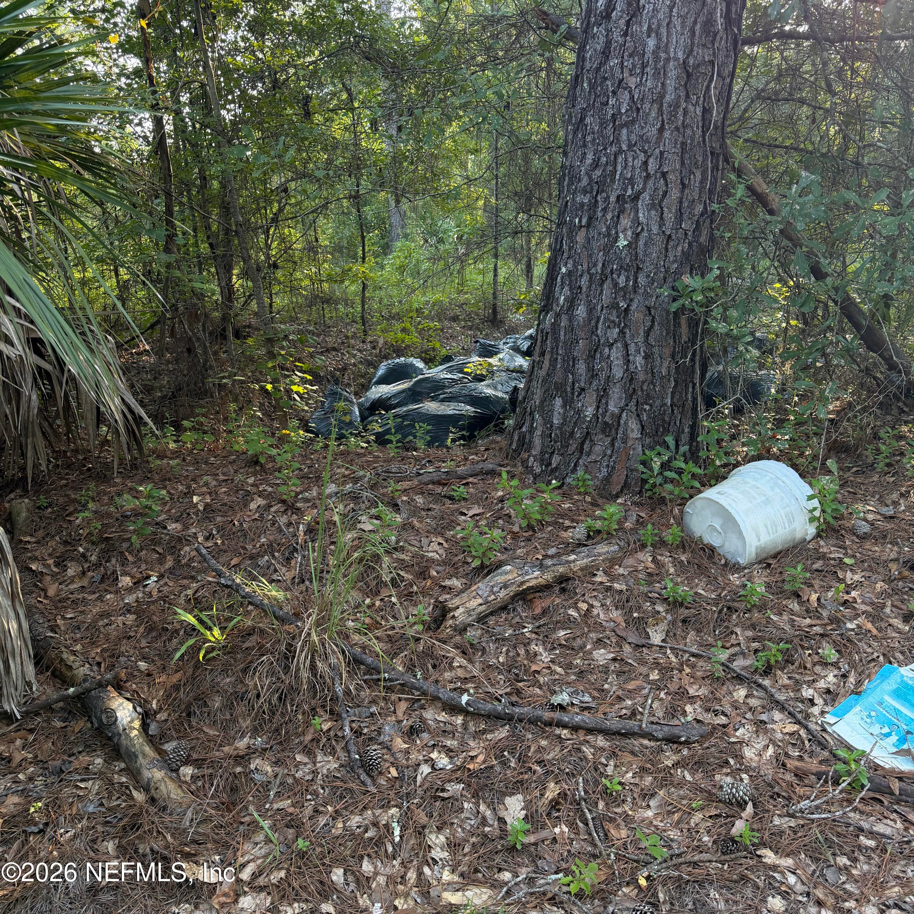 20517 SE 12TH Avenue, Hawthorne, FL 32640, Hawthorne — photo 3