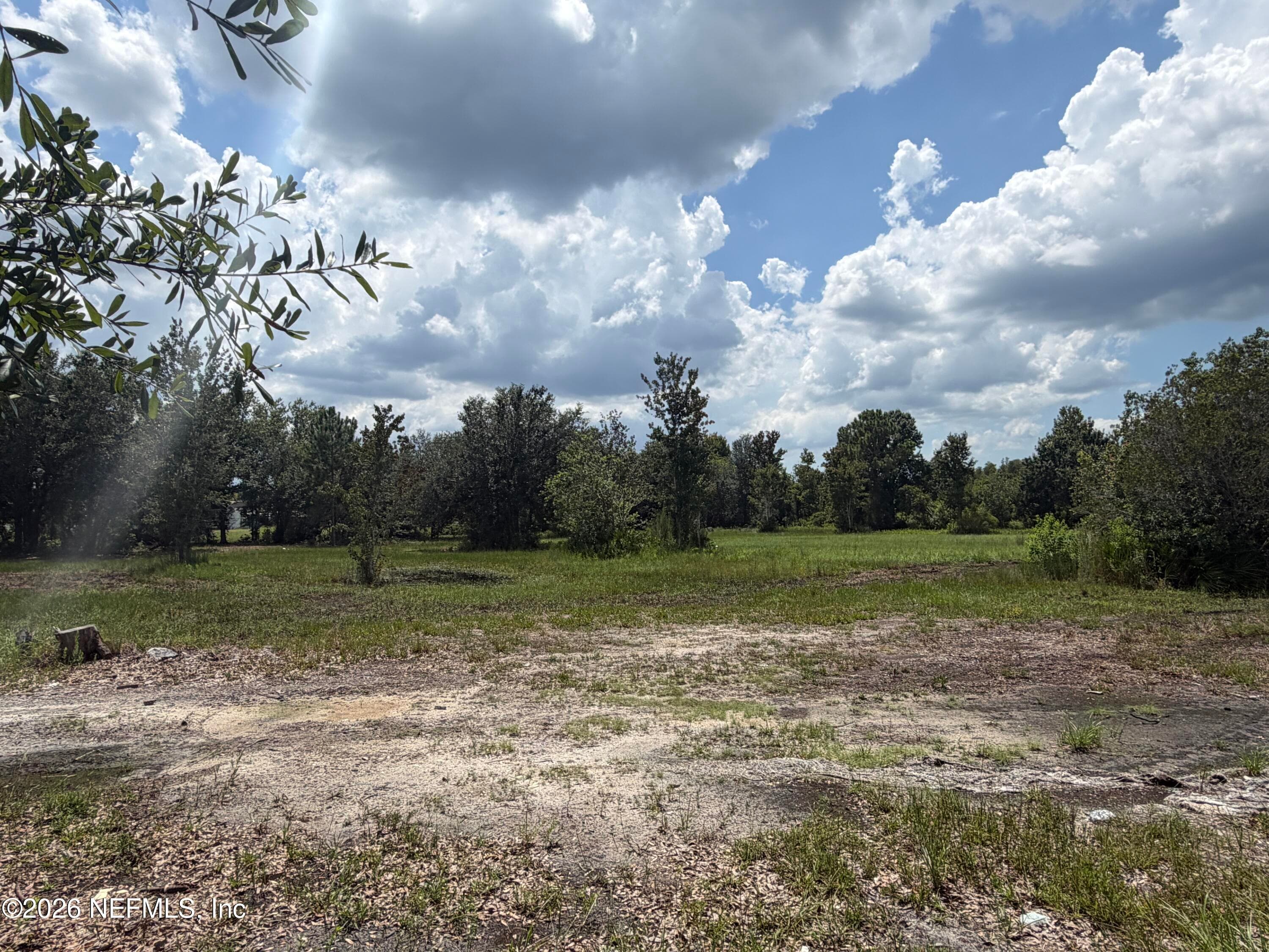 TBD DAYFLOWER Boulevard, Wesley Chapel — photo 2