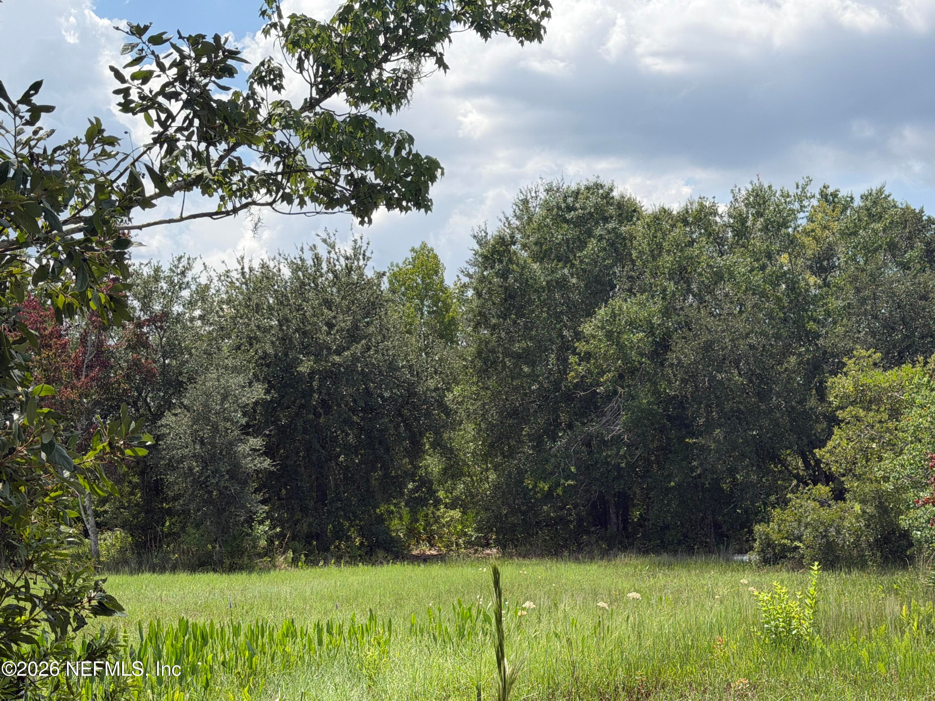 TBD DAYFLOWER Boulevard, Wesley Chapel — photo 3