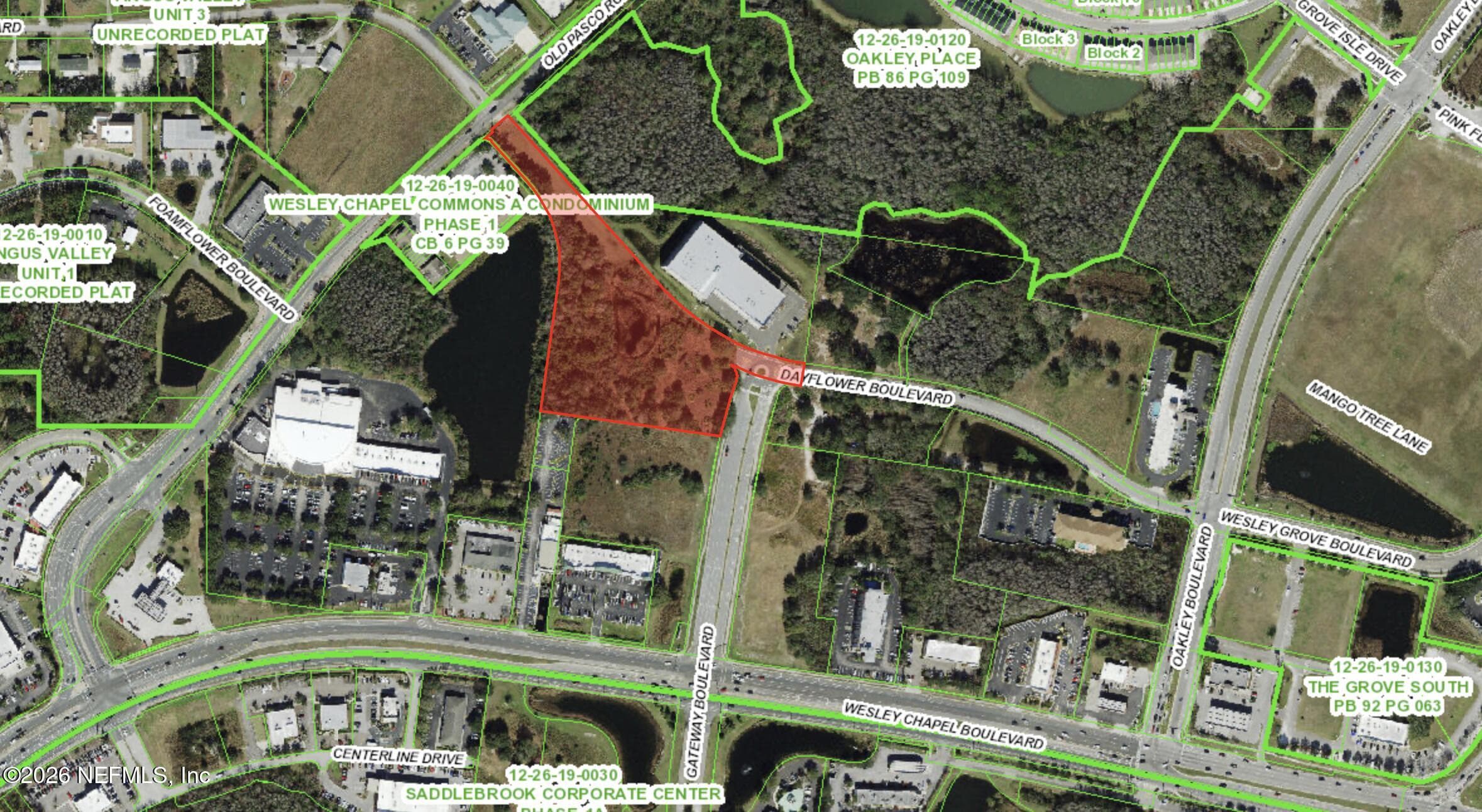 TBD DAYFLOWER Boulevard, Wesley Chapel — exterior