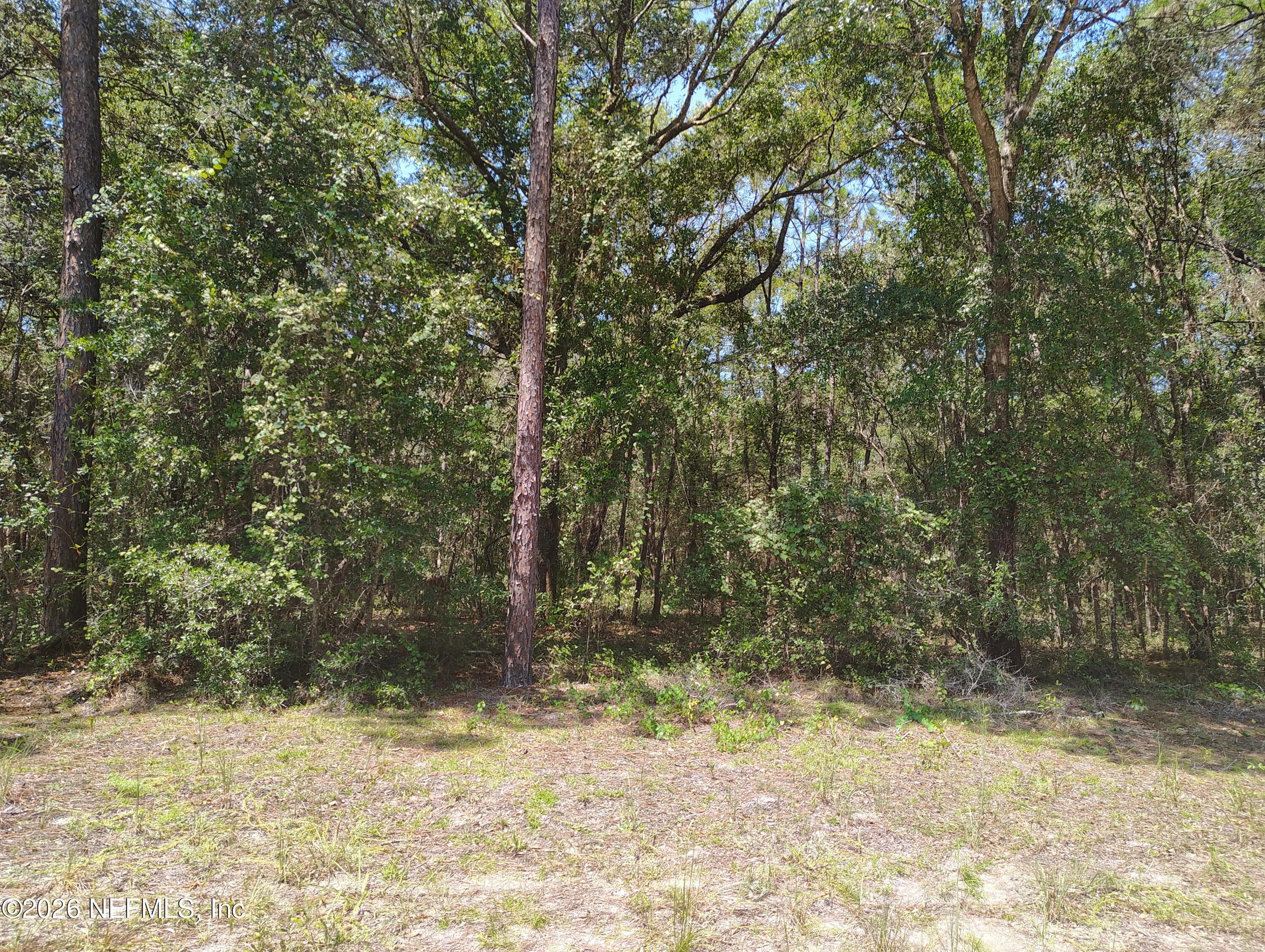 00 SUMAC Street, Interlachen, FL 32148, Interlachen — photo 3