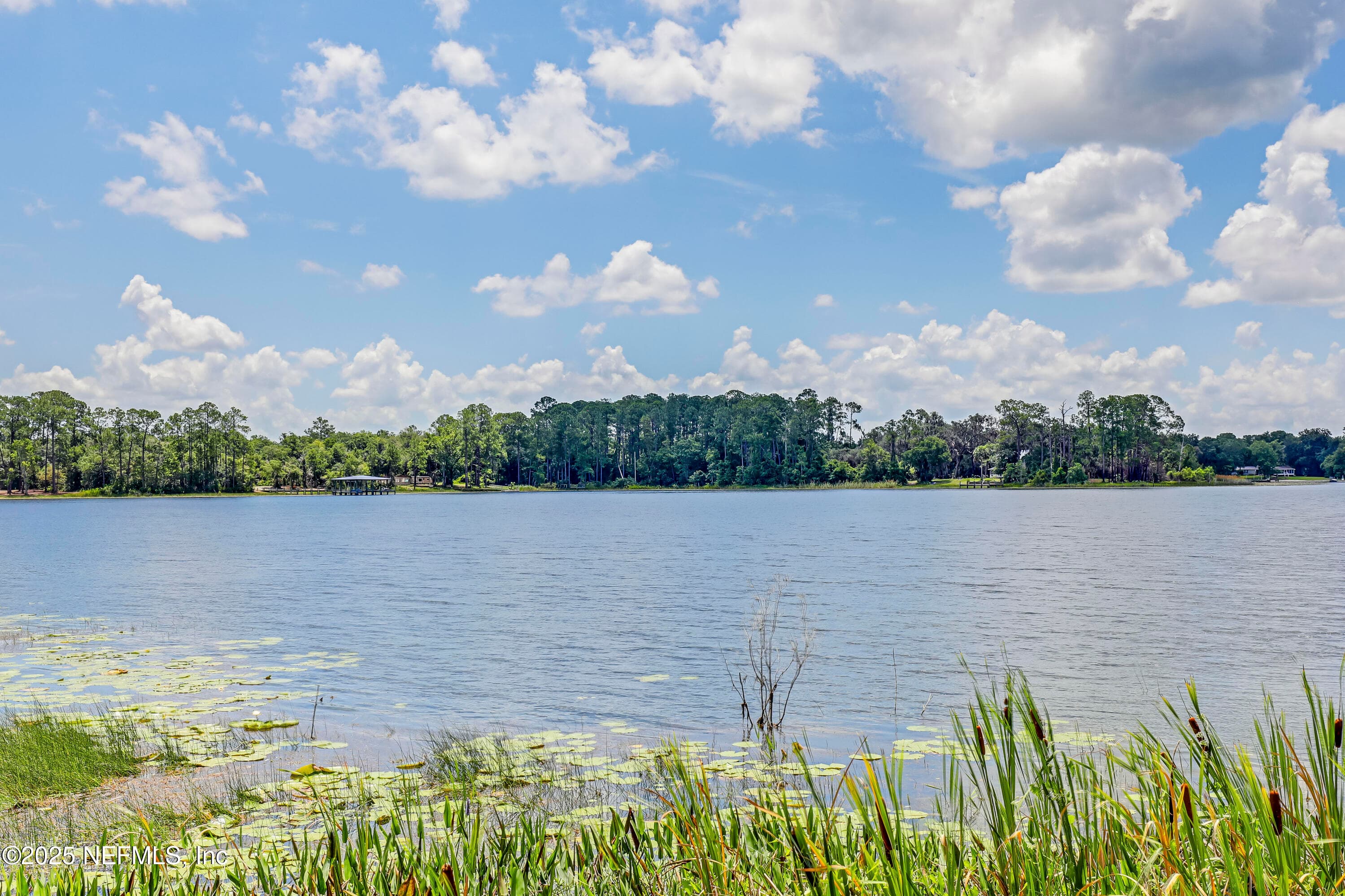 104 CARTER-WHITTAKER Lane, Pomona Park, FL 32181, Pomona Park — photo 2