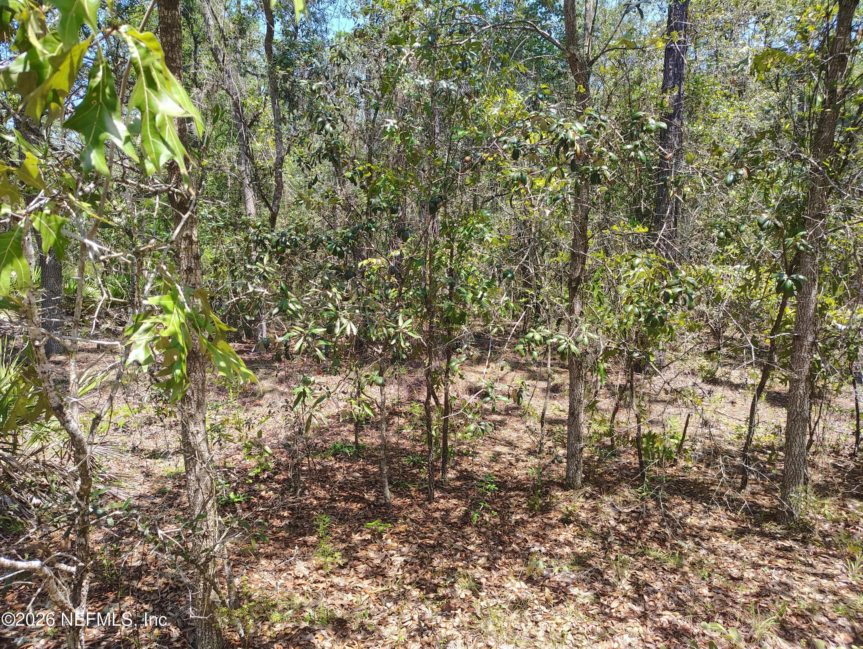 TBD SUMAC Street, Interlachen, FL 32148, Interlachen — exterior